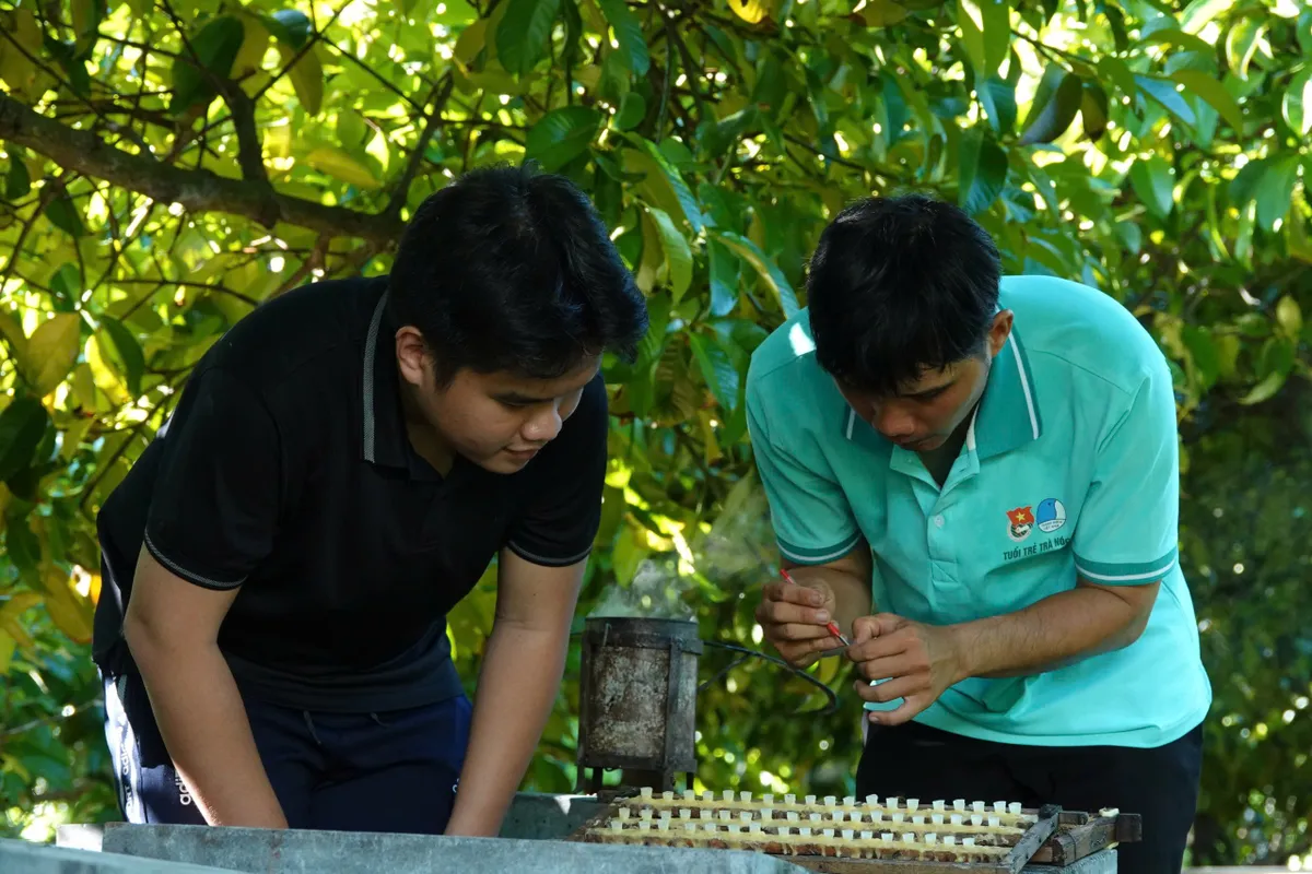 Thanh niên Cần Thơ khởi nghiệp từ nuôi ong ảnh 6