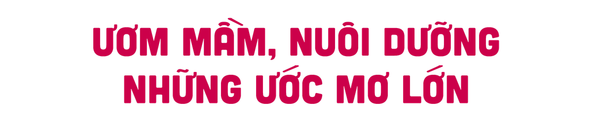 Nuôi dưỡng khát vọng phát triển đất nước từ thế hệ măng non ảnh 8