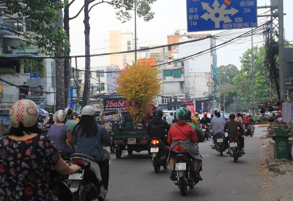 Đường phố TPHCM 'khoác áo mới' rực rỡ đón Tết Kỷ Hợi ảnh 9