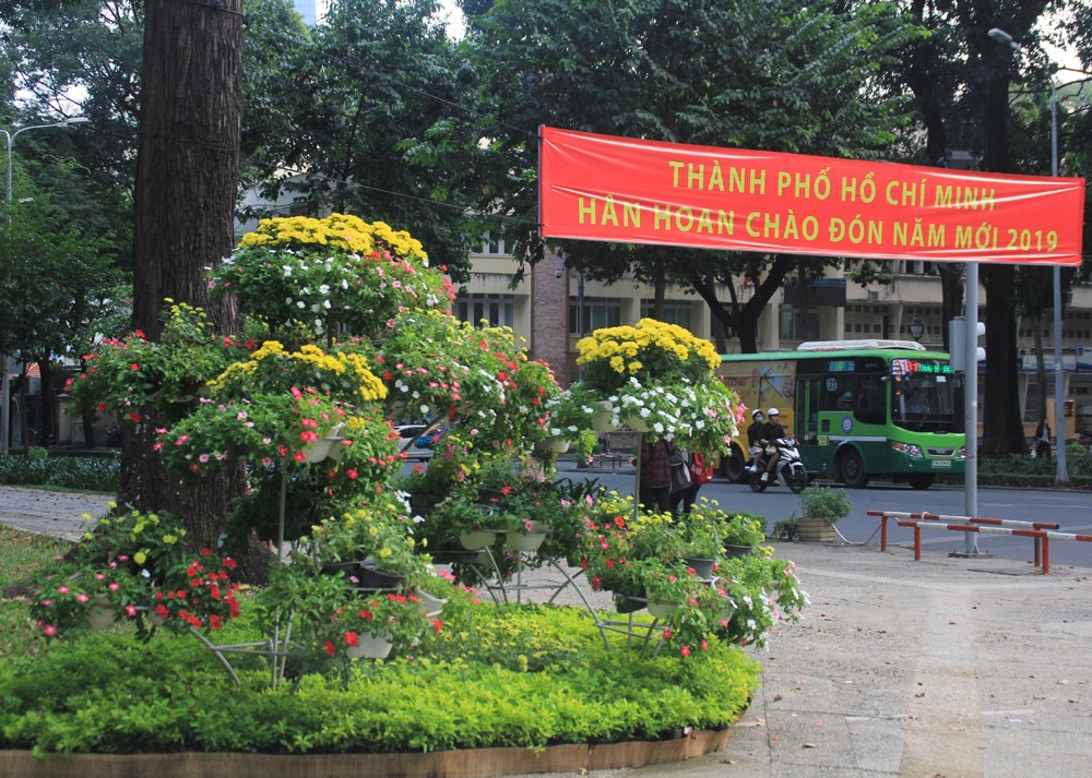 Đường phố TPHCM 'khoác áo mới' rực rỡ đón Tết Kỷ Hợi ảnh 12