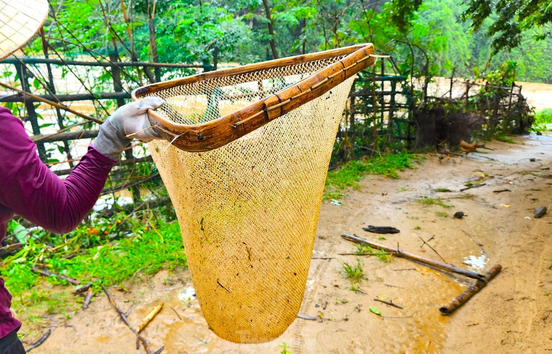 Dân bản dầm mình giữa dòng nước lũ bắt cá mưu sinh ảnh 3