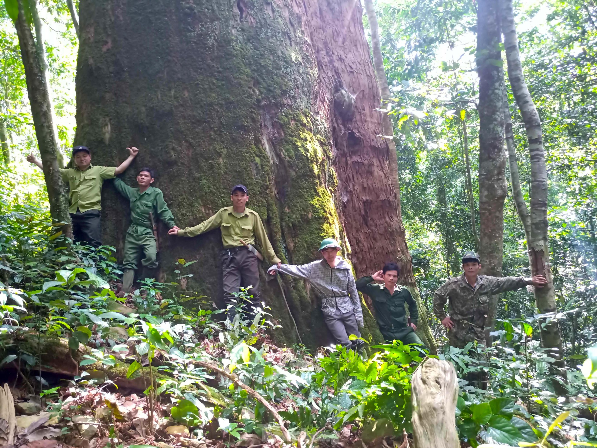 Theo chân 'đội đặc nhiệm' len lỏi vào vườn quốc gia tuần tra bảo vệ rừng, ngăn săn bắt thú ảnh 5