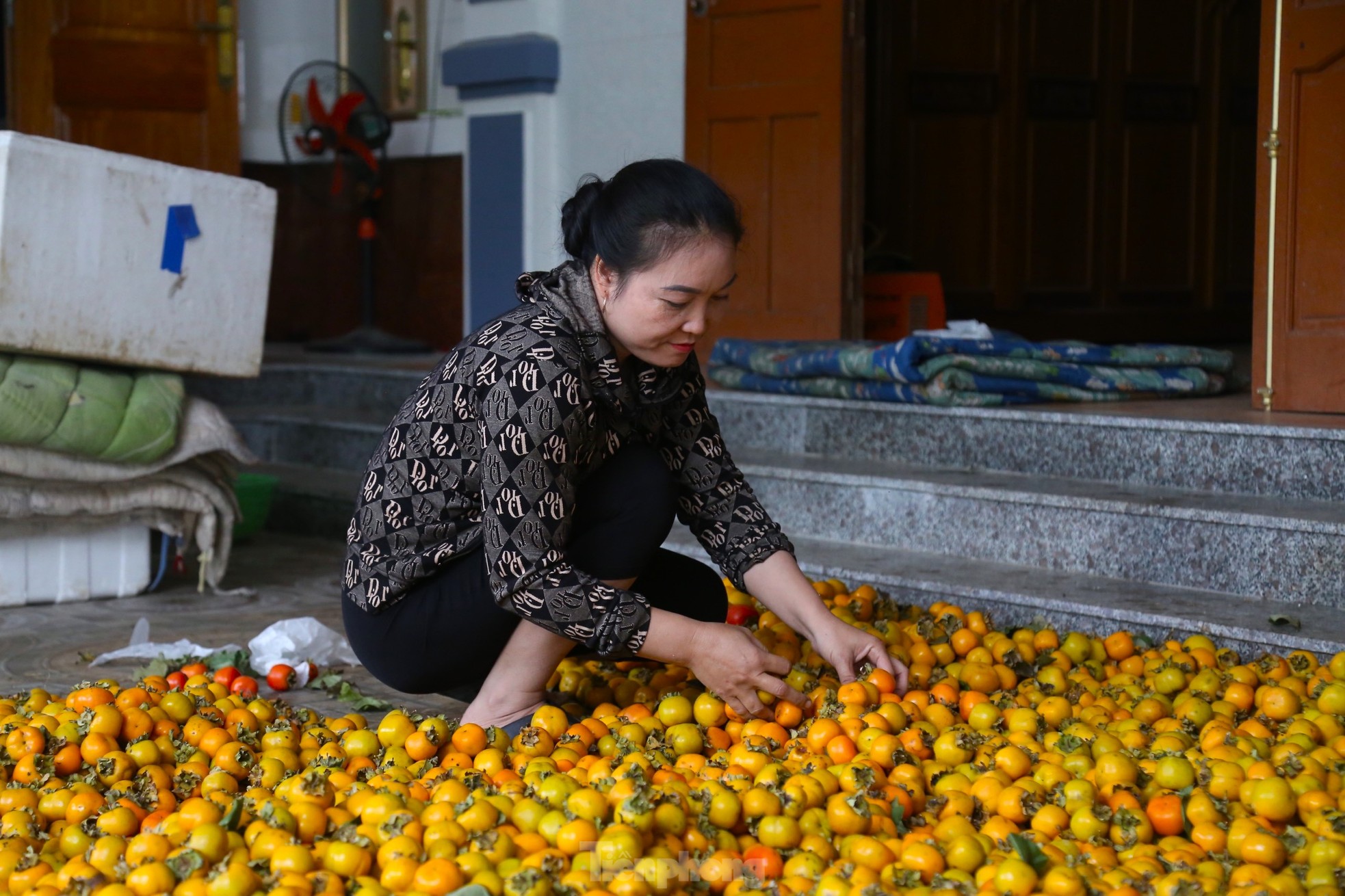 Thủ phủ hồng mất mùa, vì sao người trồng vẫn phấn khởi? ảnh 7