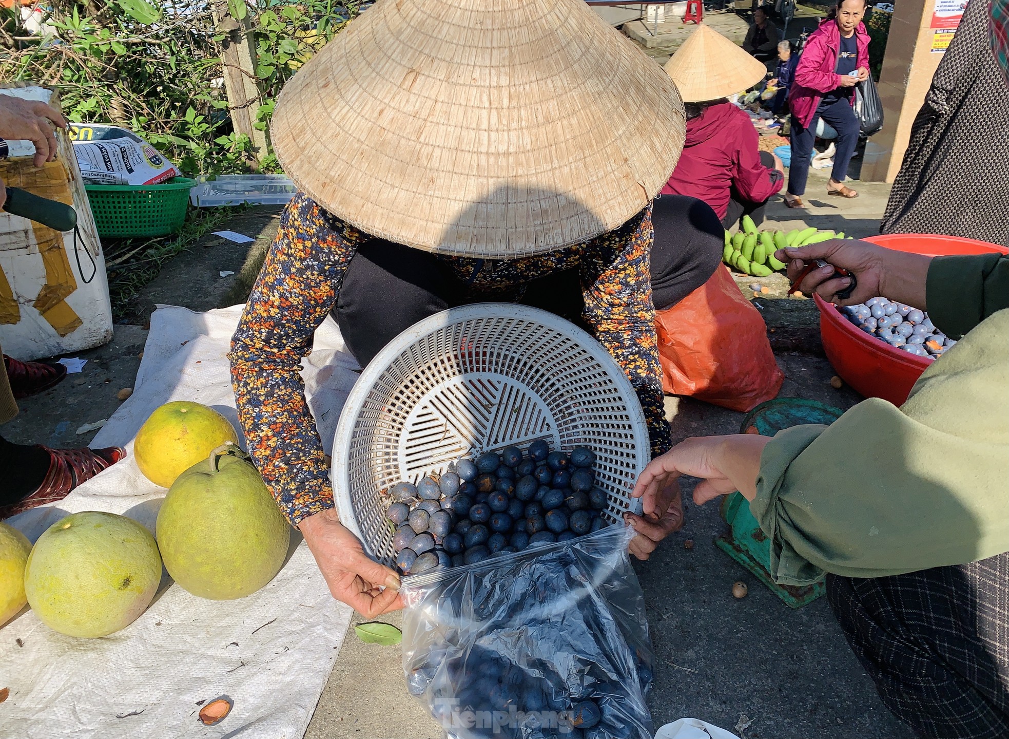 'Lên đời' nhờ loài cây mọc hoang trở thành món đặc sản ảnh 12