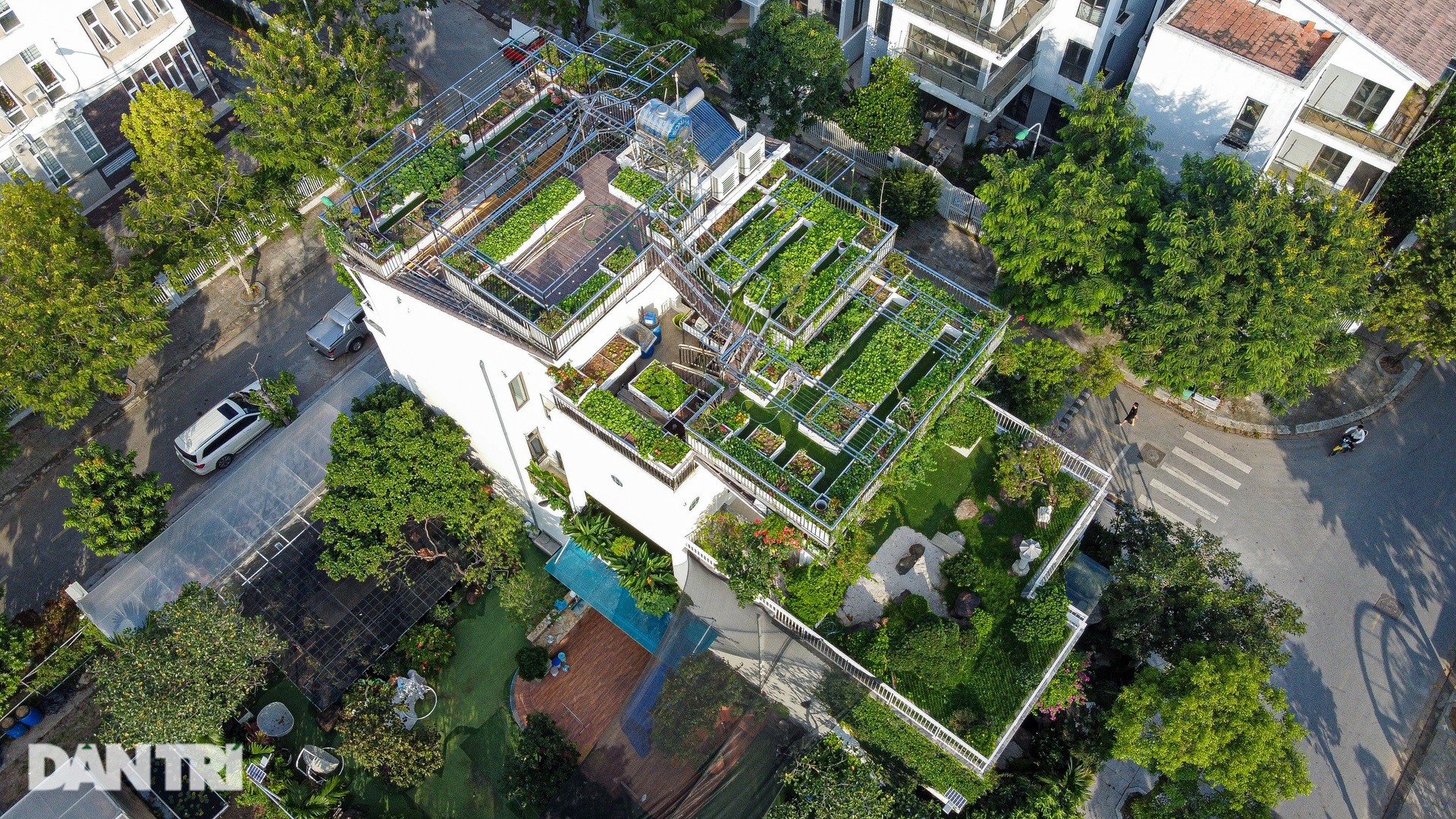'Ruộng bậc thang' 300m2 trên mái căn biệt thự của vợ chồng U70 ở Hà Nội