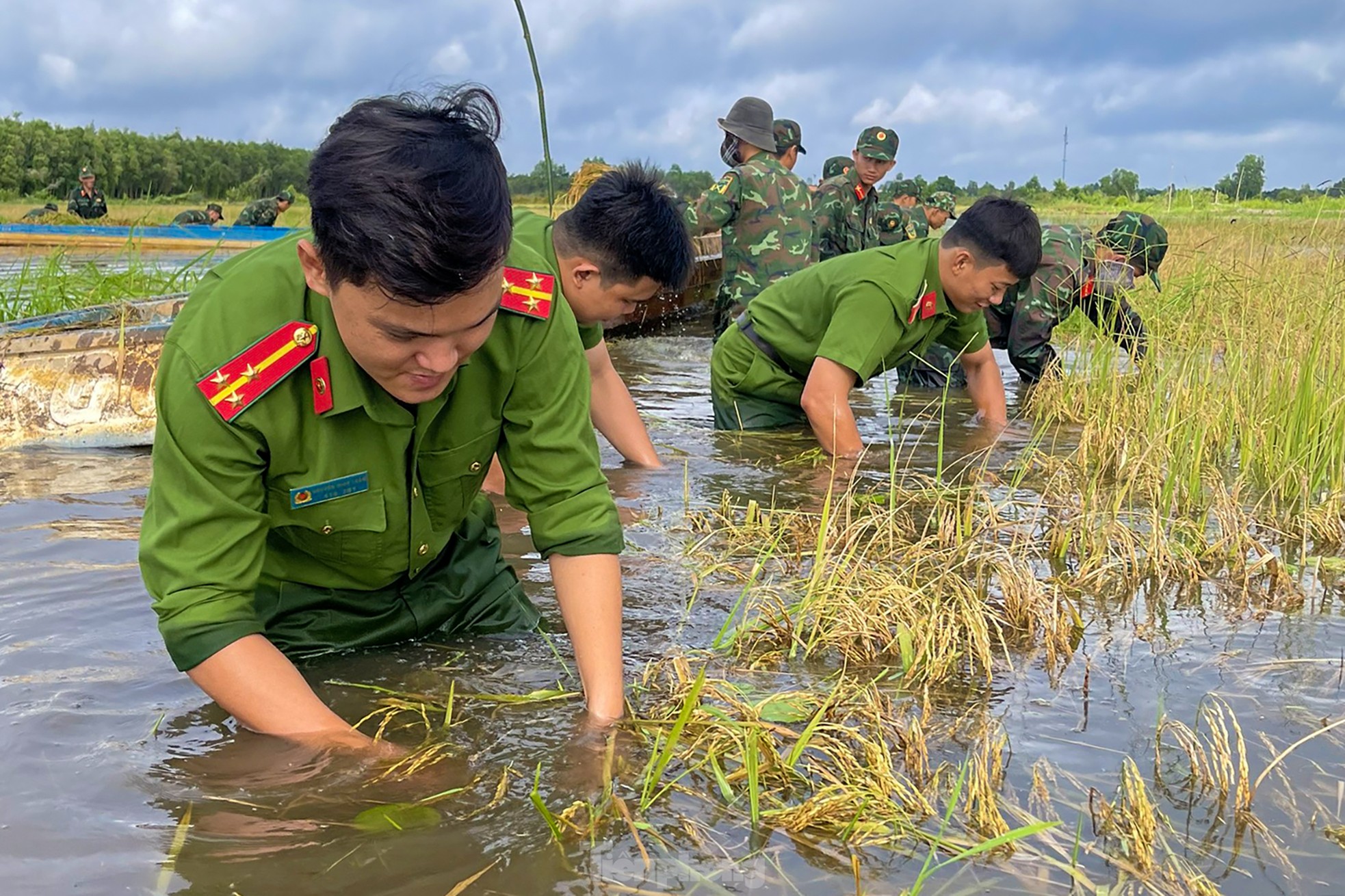 Hình ảnh chiến sĩ ngâm mình trong nước giúp dân cứu lúa ảnh 5