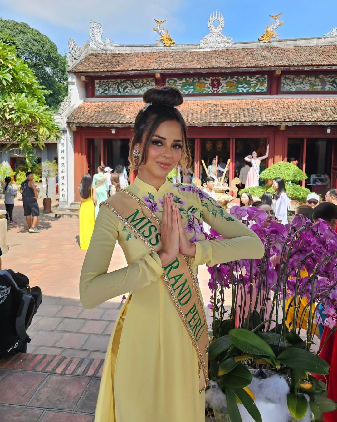 Nhan sắc 6 người đẹp mặc áo dài đẹp nhất Hoa hậu Hòa bình ảnh 15
