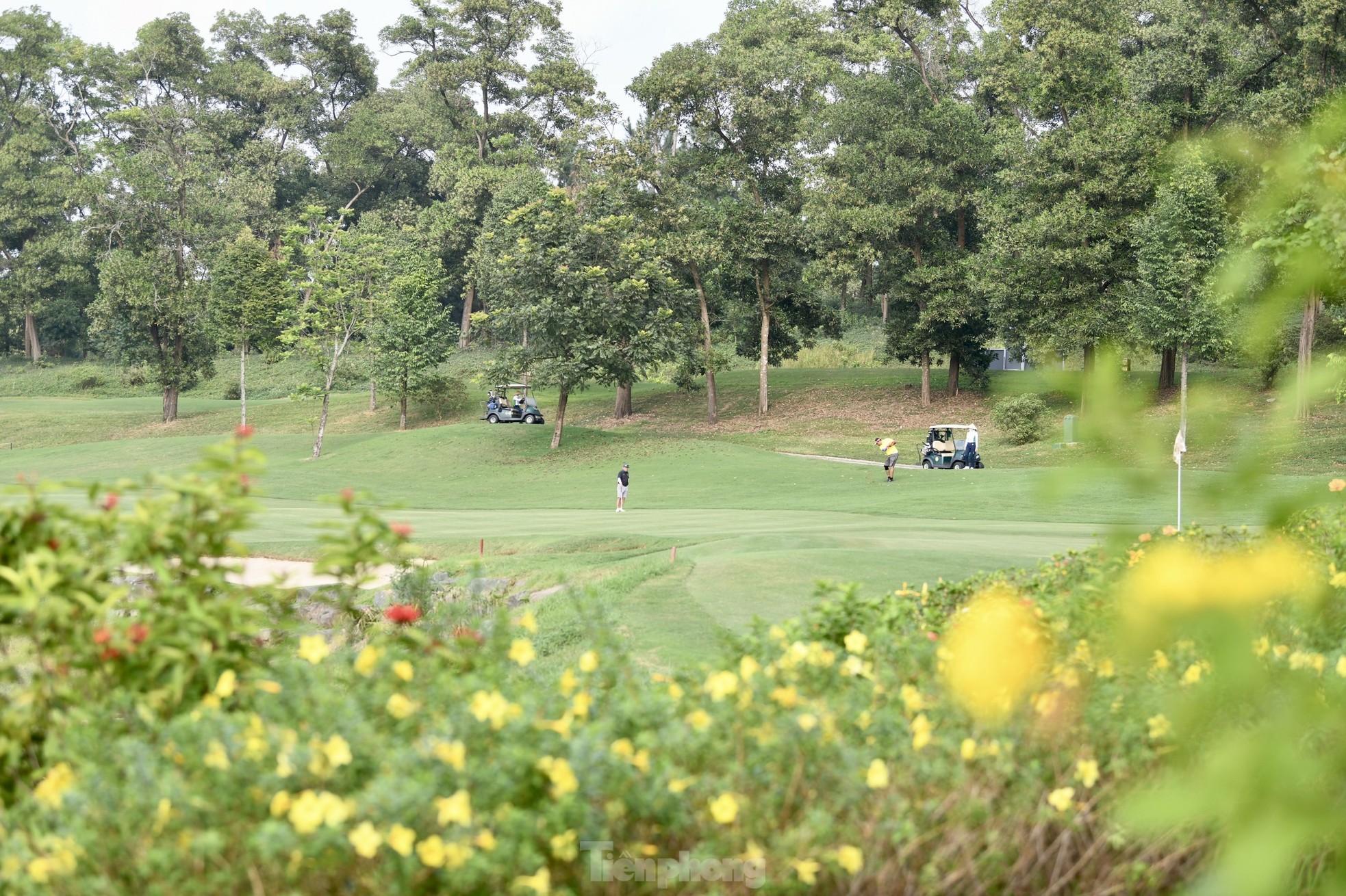 Khung cảnh mùa thu đẹp đến nao lòng của sân Kings Course trong mùa thứ 7 Tiền Phong Golf Championship 2023 ảnh 3