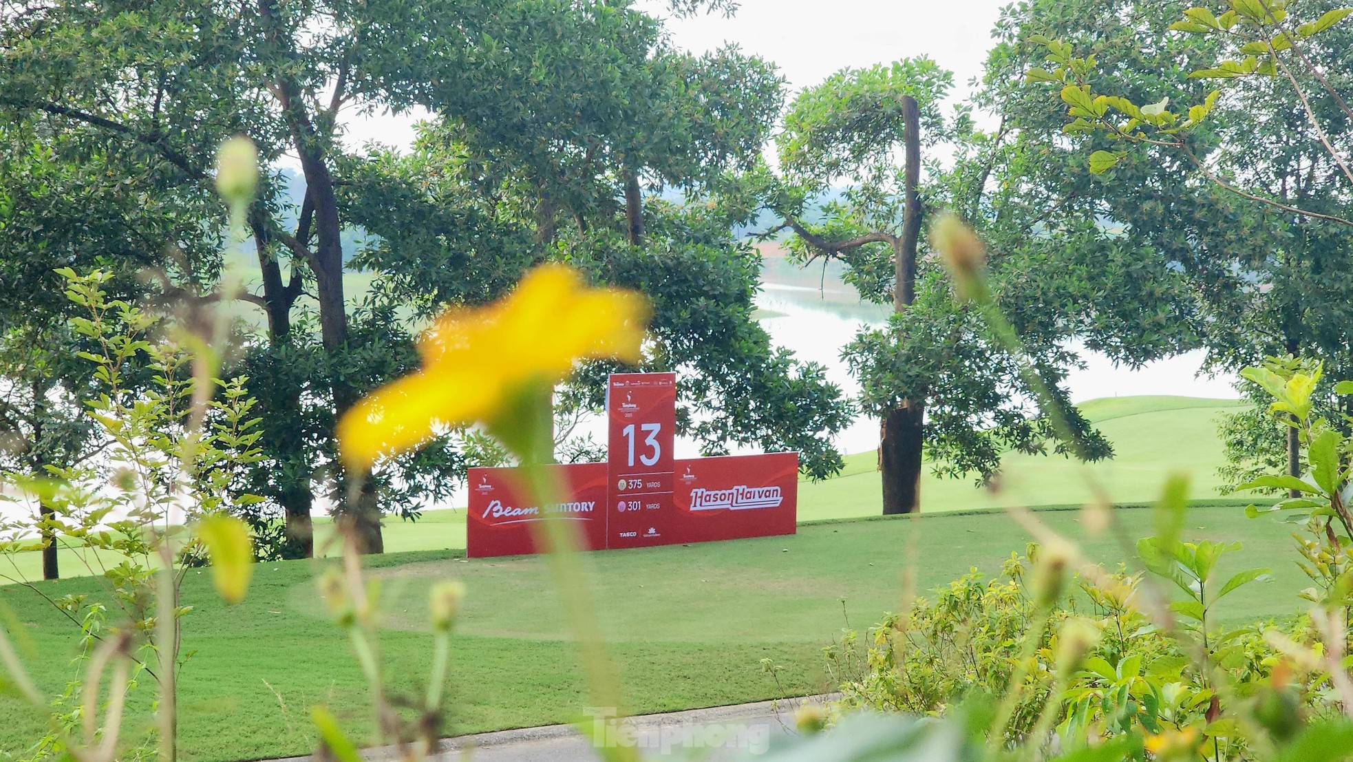 Khung cảnh mùa thu đẹp đến nao lòng của sân Kings Course trong mùa thứ 7 Tiền Phong Golf Championship 2023 ảnh 6