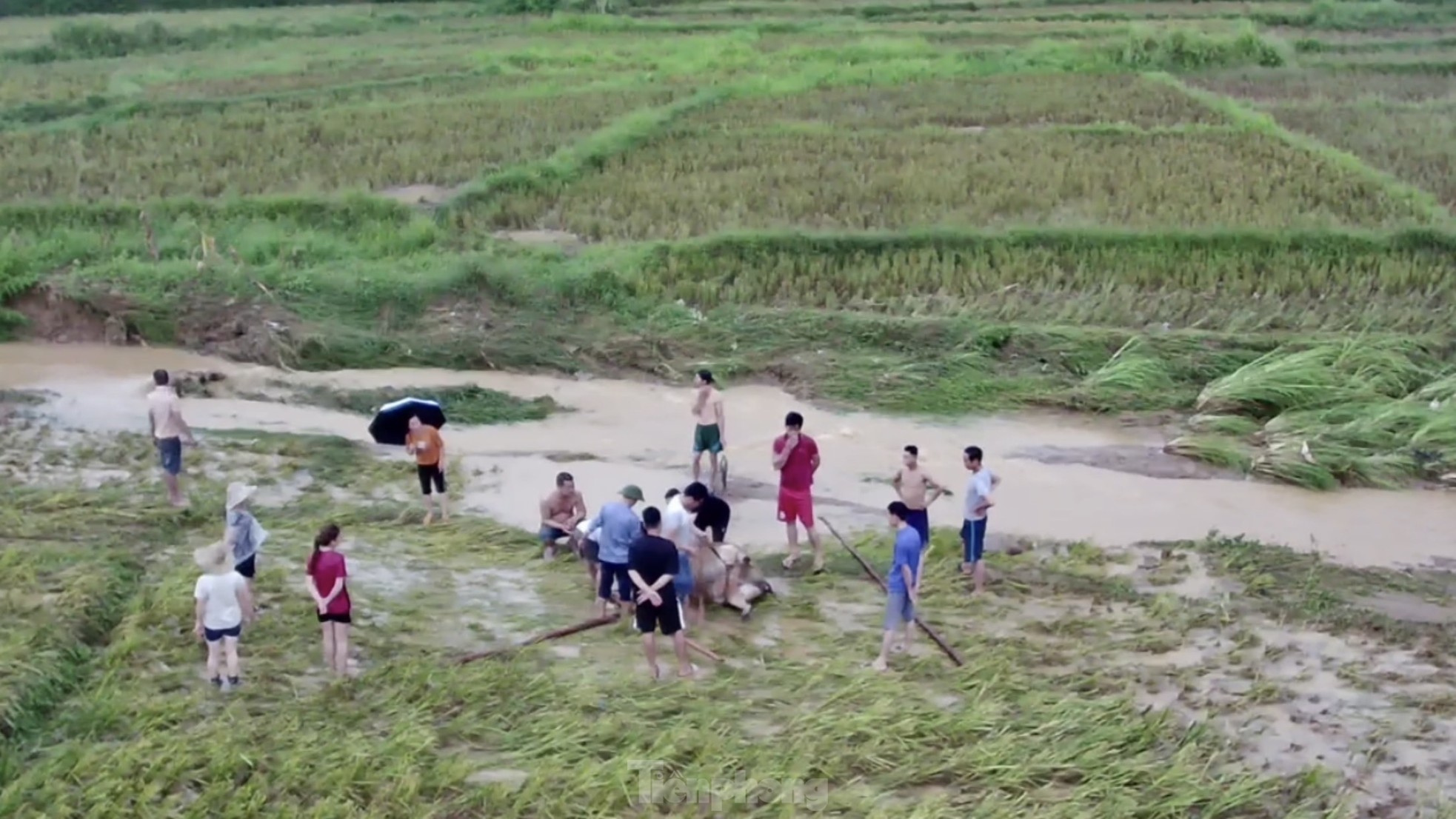 Mưa lớn ở Yên Bái khiến giao thông tê liệt, tạm dừng chạy tàu Hà Nội-Lào Cai ảnh 9