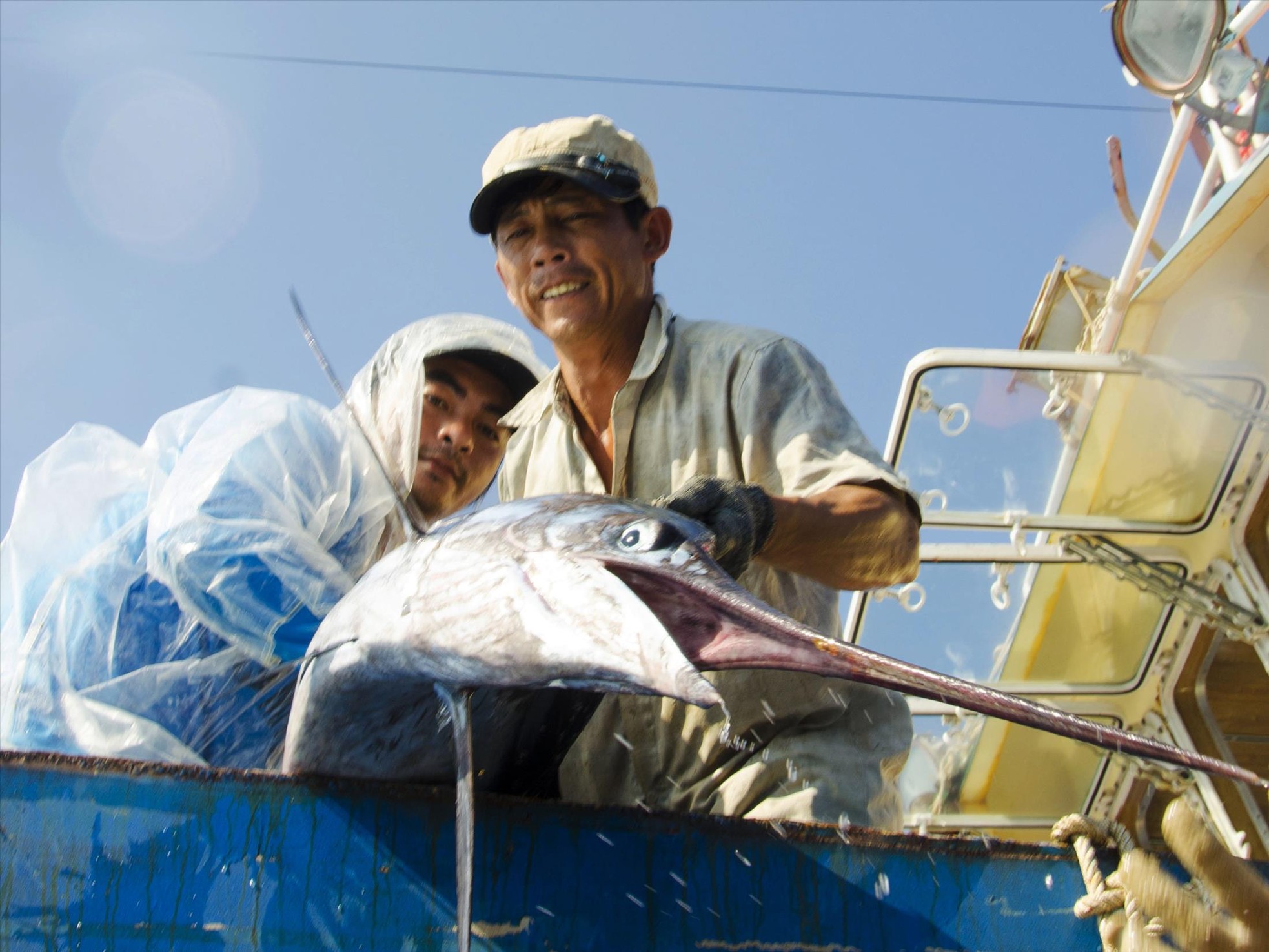 Chuyện ít biết về 'sát thủ' giấu mình ở đại dương ảnh 2