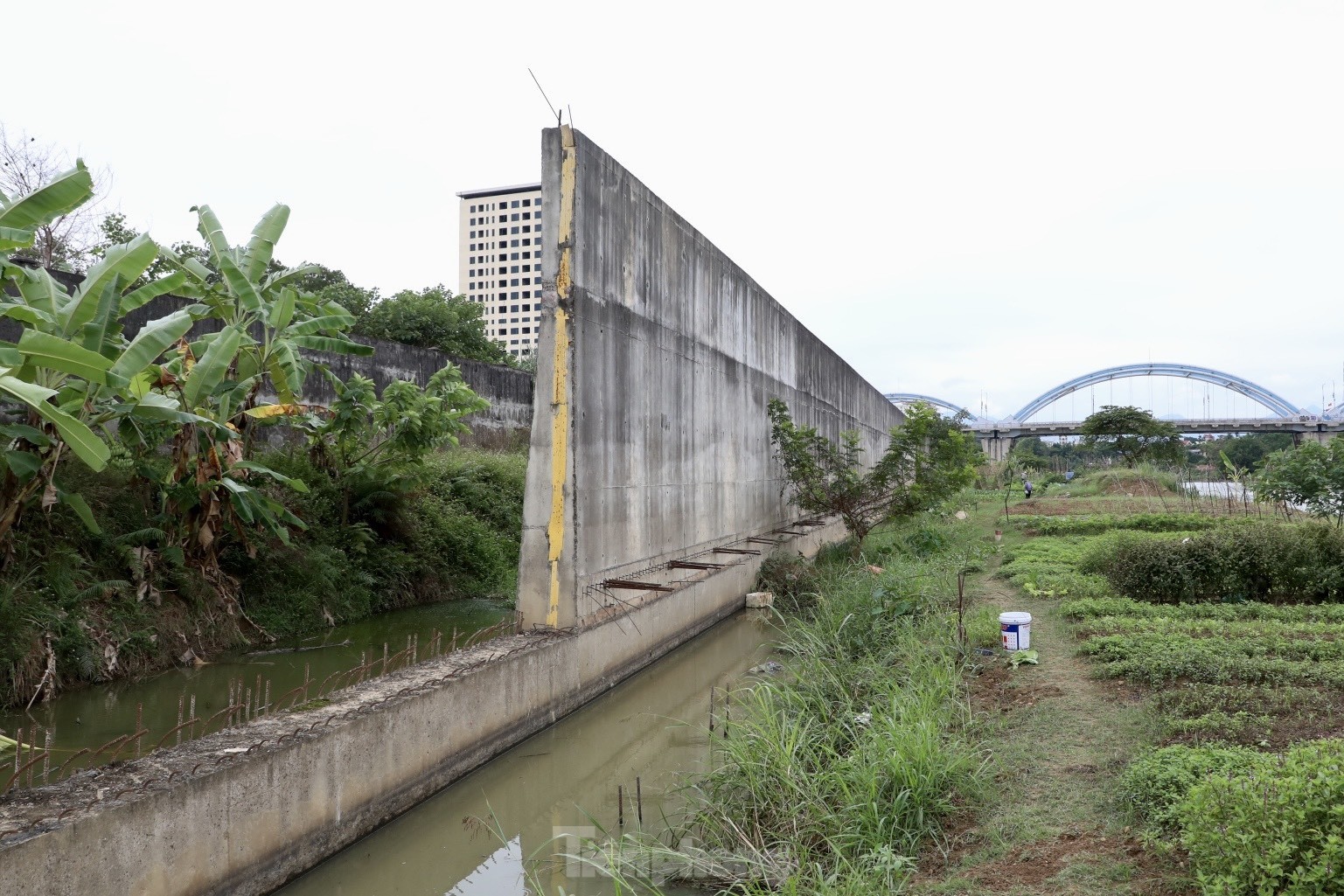 Dự án cấp bách tiêu tốn hàng trăm tỷ nằm hoang phế bên bờ sông Cầu ảnh 4