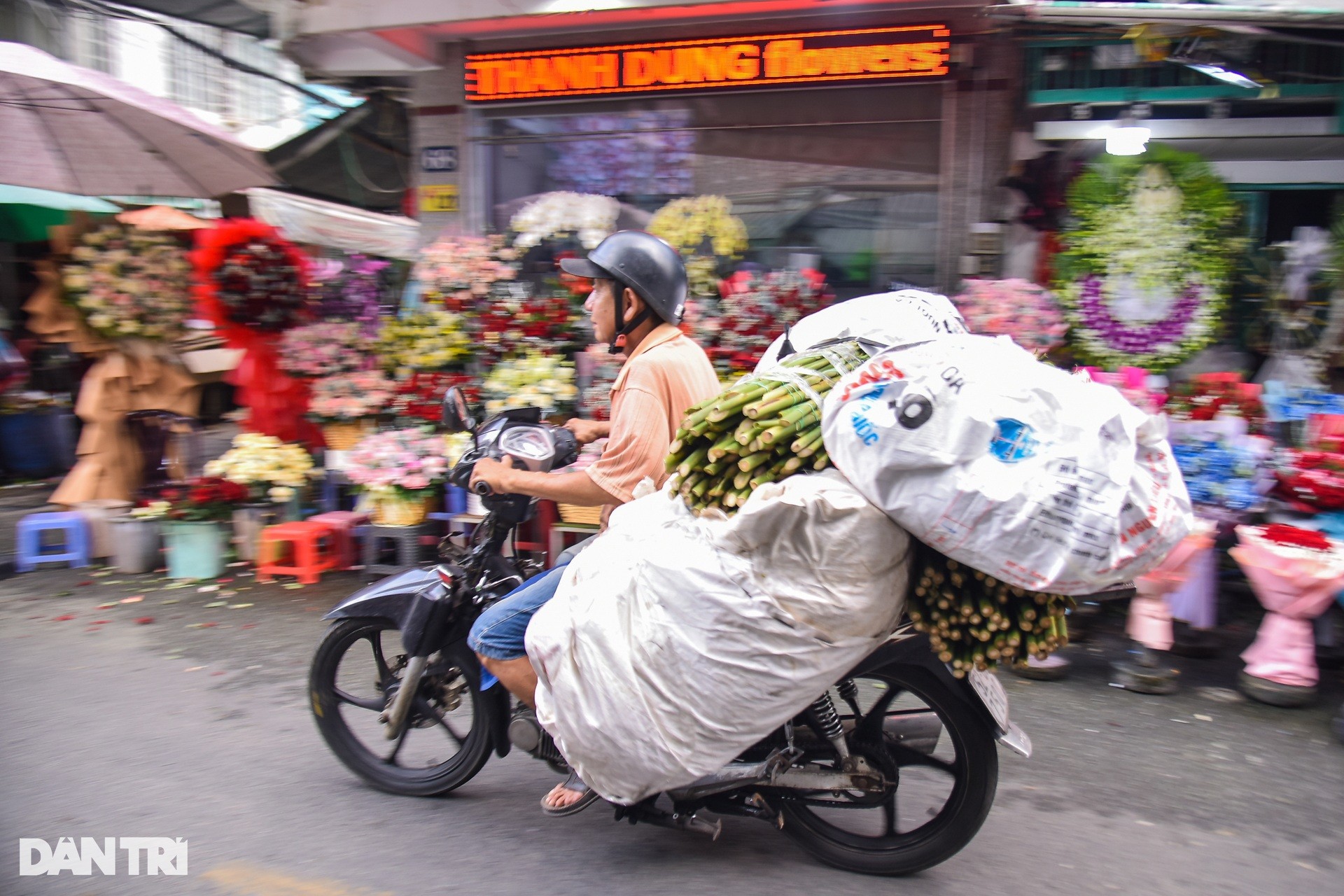 Chợ hoa lớn nhất TPHCM đìu hiu trước dịp lễ 20/10 ảnh 8