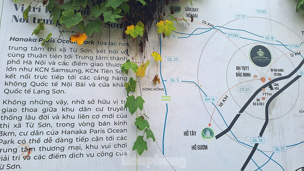 Bên trong trung tâm thương mại nghìn tỷ 'đắp chiếu' trên đất vàng Kinh Bắc ảnh 3