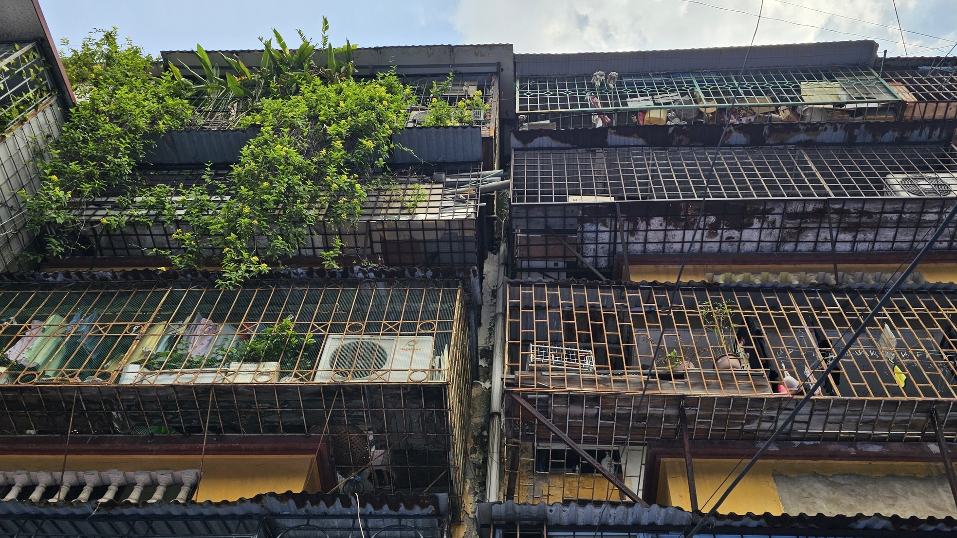 Cận cảnh khu tập thể cũ trên 'đất vàng' được Hà Nội chi tiền lập quy hoạch cải tạo ảnh 9