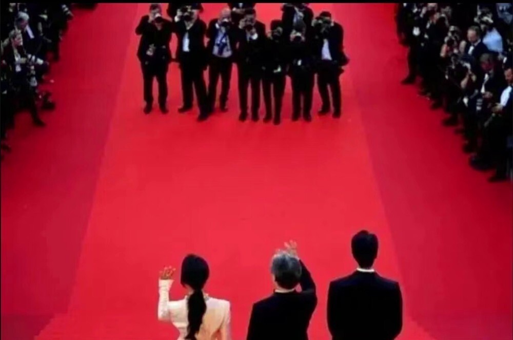 Muối mặt vì bị đuổi khéo khỏi thảm đỏ Cannes ảnh 10