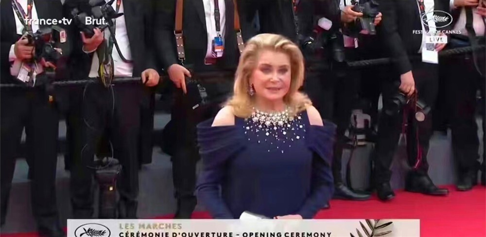 Muối mặt vì bị đuổi khéo khỏi thảm đỏ Cannes ảnh 11