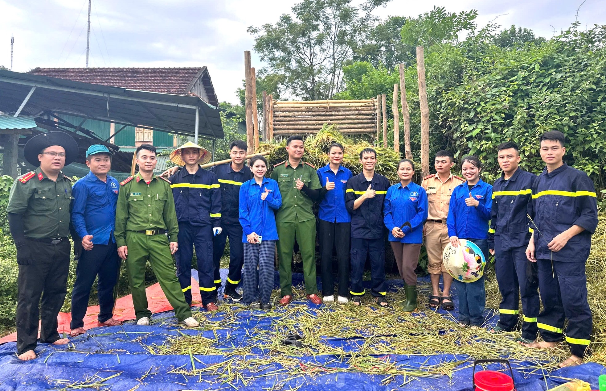 Thanh niên cùng chiến sĩ công an gặt lúa chạy bão giúp người dân ảnh 13