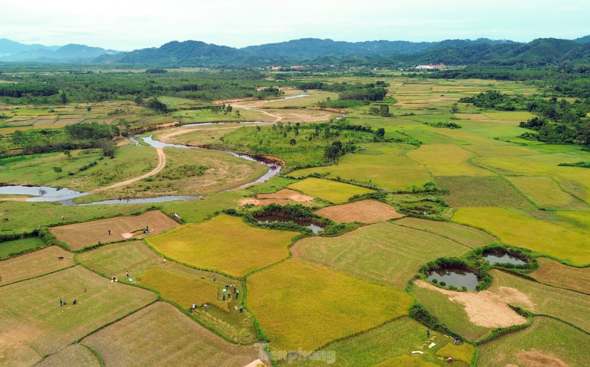 Rộn ràng ngày mùa nơi biên giới A Lưới ảnh 1