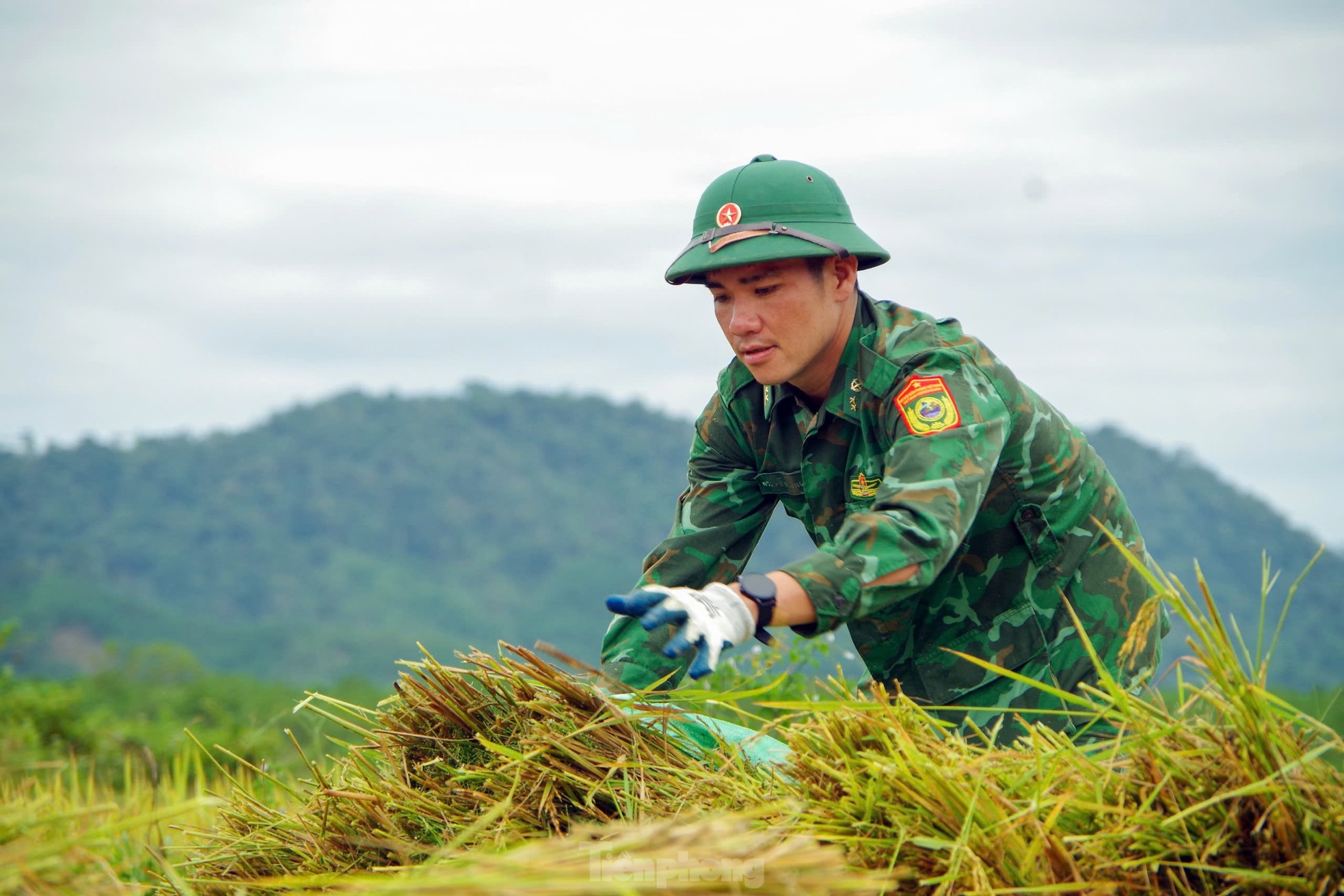 Rộn ràng ngày mùa nơi biên giới A Lưới ảnh 8