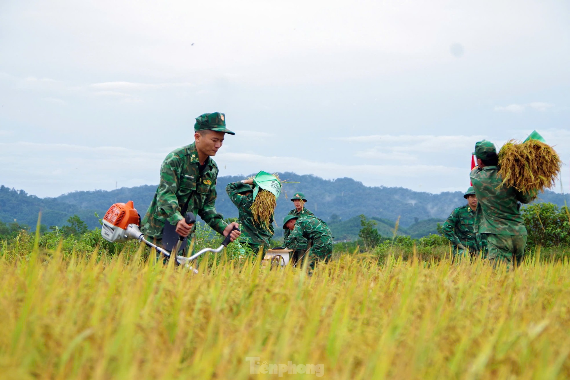 Rộn ràng ngày mùa nơi biên giới A Lưới ảnh 6