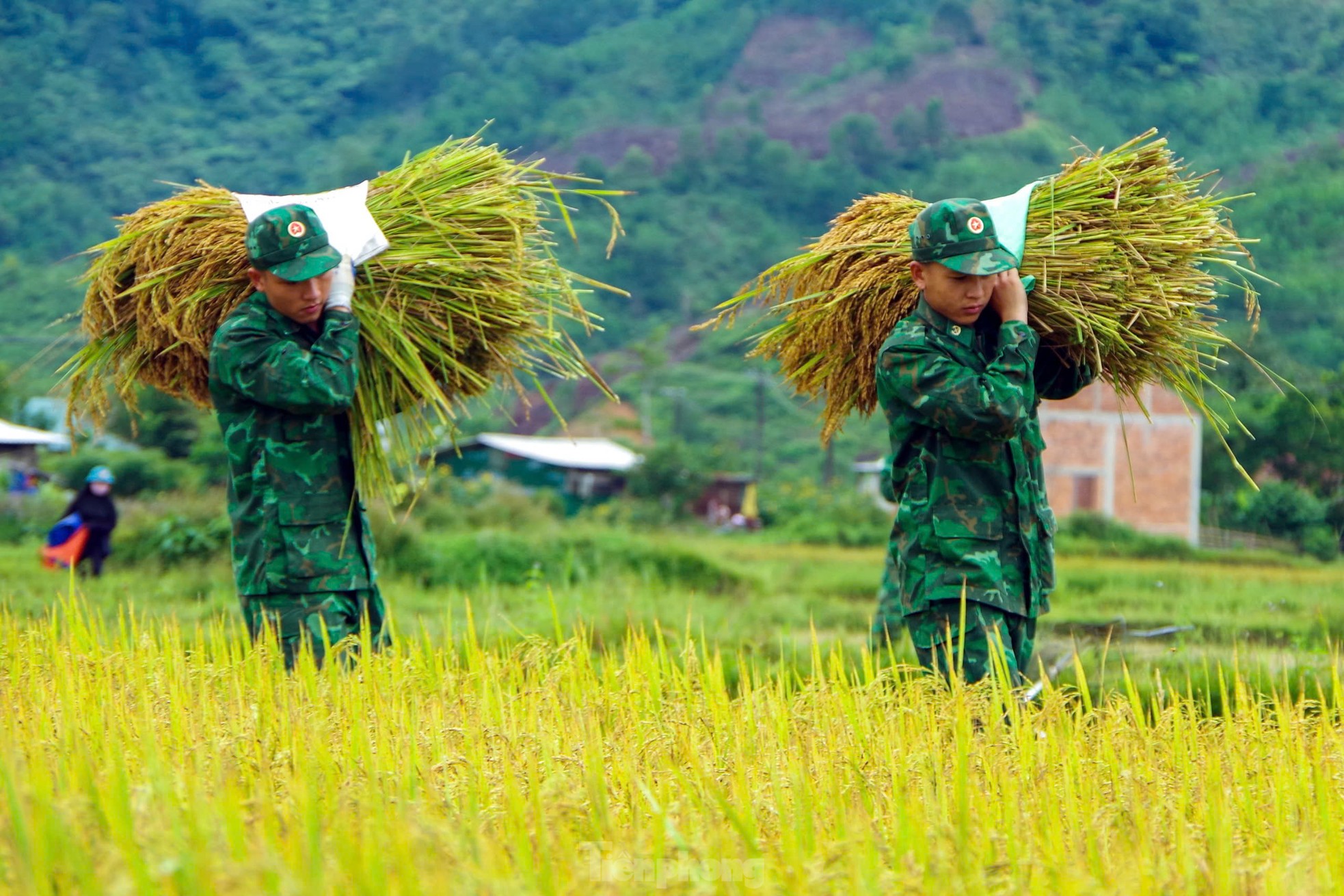 Rộn ràng ngày mùa nơi biên giới A Lưới ảnh 10