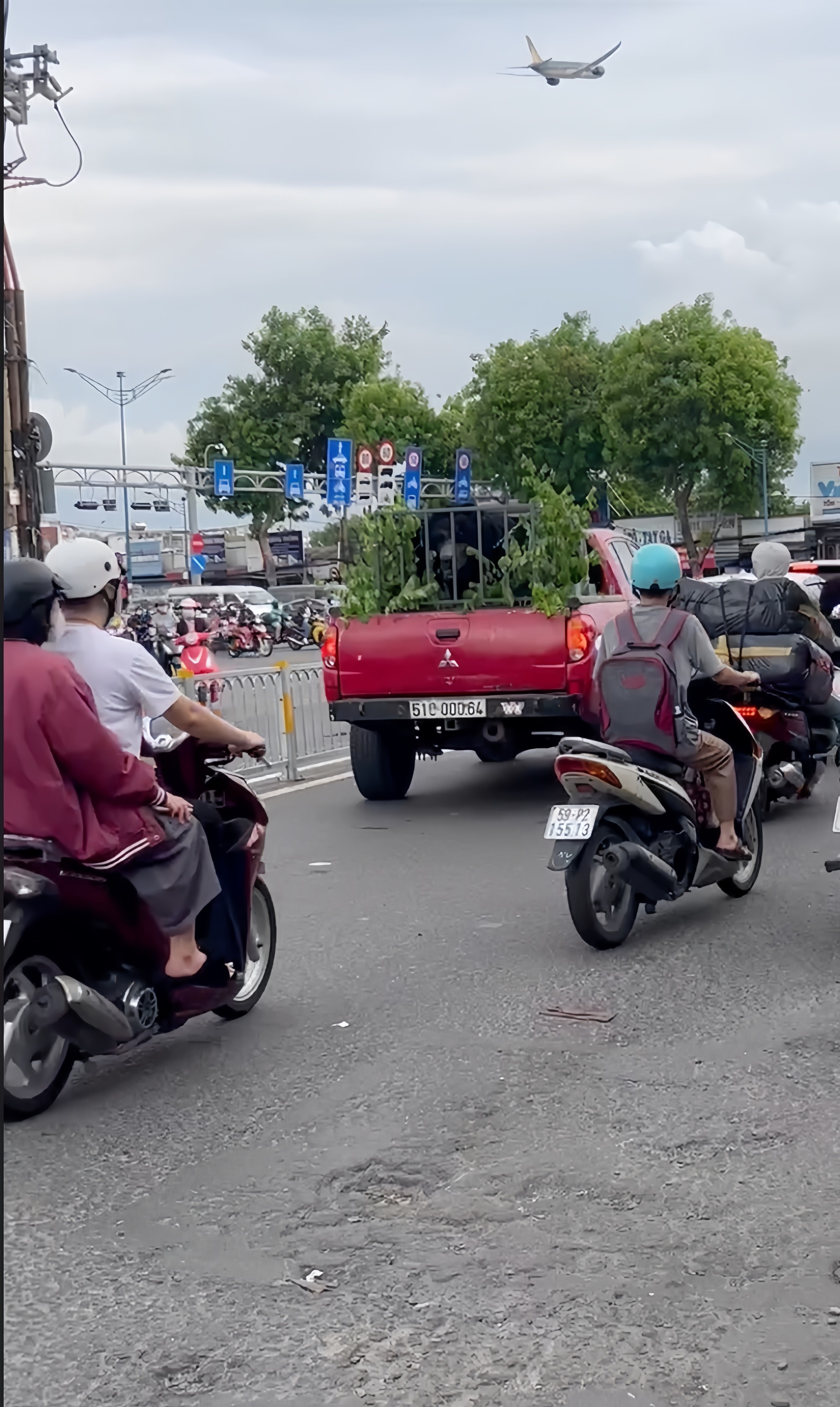 Showbiz 20/5: 'Quái thú' gây náo loạn đường phố TPHCM ảnh 2
