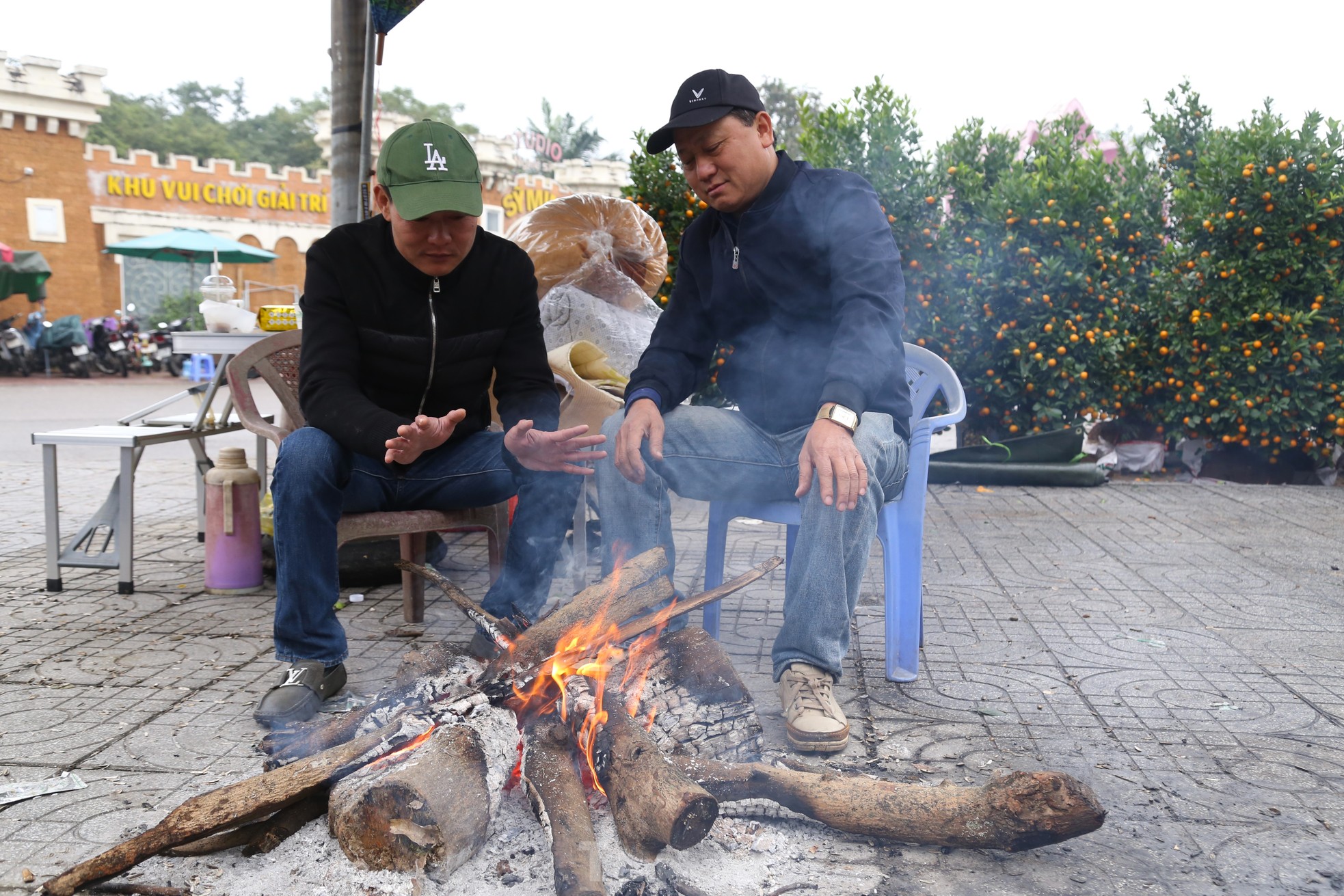 Dân buôn đào quất Tết như 'ngồi trên đống lửa' ảnh 5