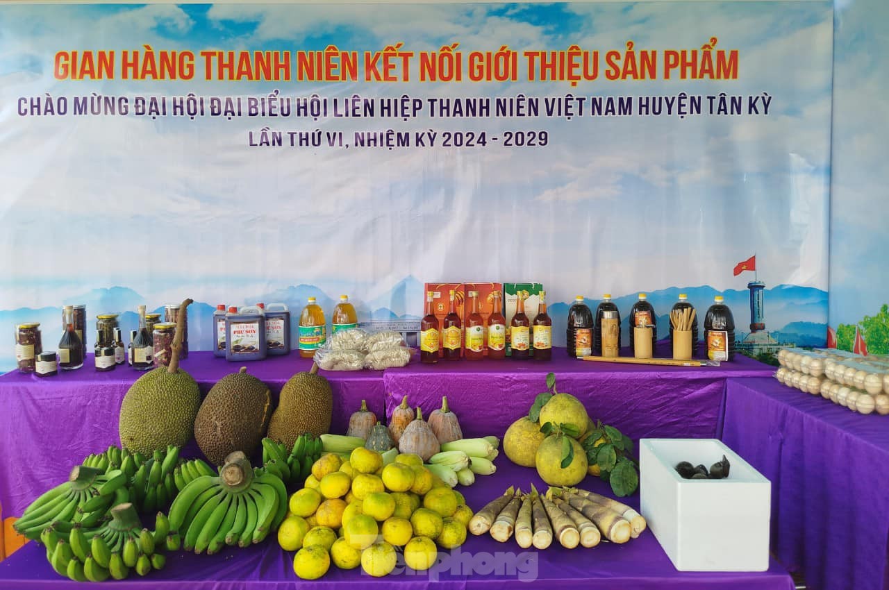 Đại hội điểm Hội Liên hiệp Thanh niên cấp huyện đầu tiên ở Nghệ An ảnh 14