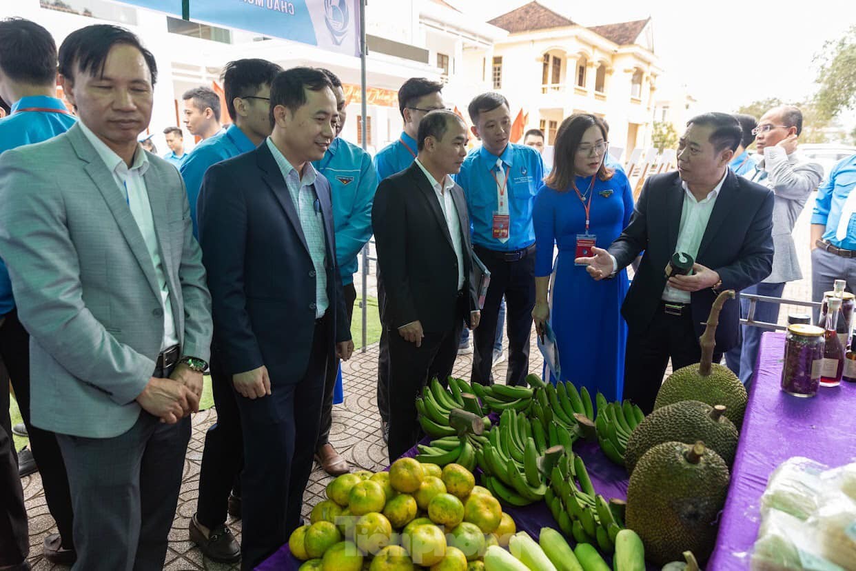 Đại hội điểm Hội Liên hiệp Thanh niên cấp huyện đầu tiên ở Nghệ An ảnh 13