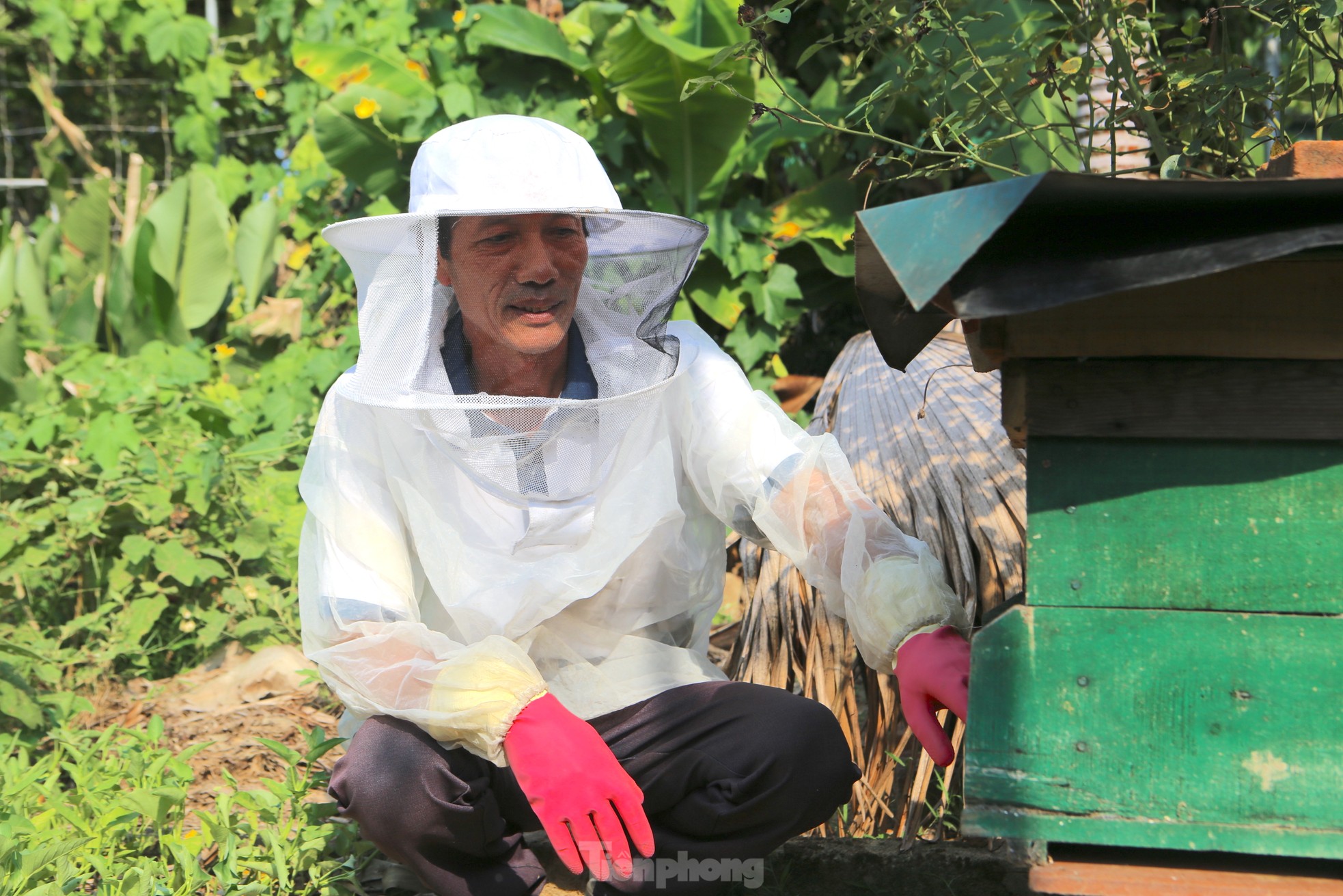 Nghề đưa ong rừng về nuôi lấy mật, mỗi mùa thu hàng chục triệu đồng ảnh 15