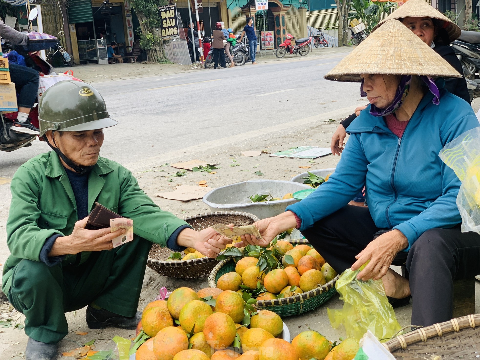 Đặc sản cam bù nhộn nhịp sau Tết, giá cao vẫn đắt khách ảnh 1