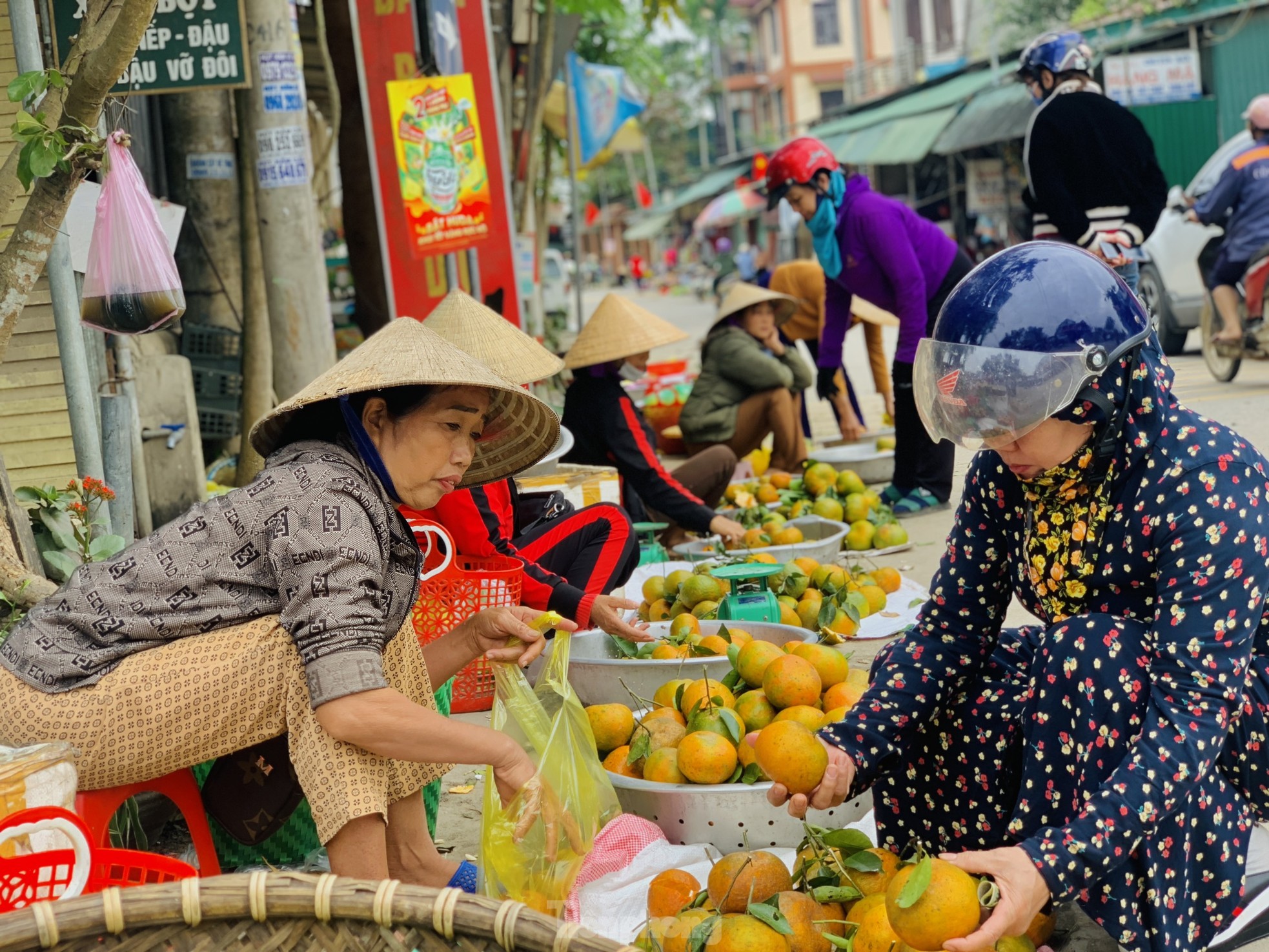 Đặc sản cam bù nhộn nhịp sau Tết, giá cao vẫn đắt khách ảnh 5