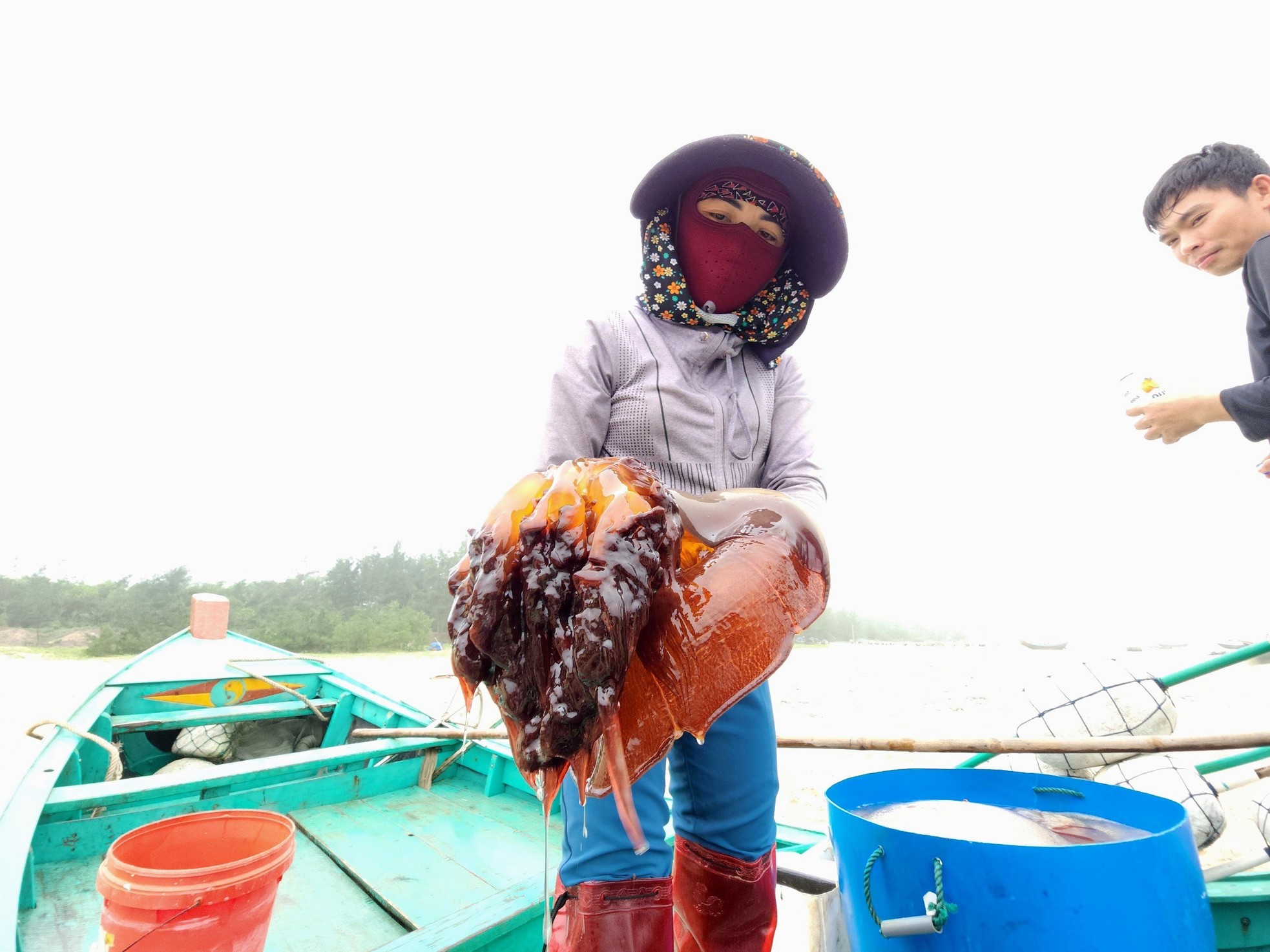 Ha Tinh fishermen harvest jellyfish, earning millions every day photo 8