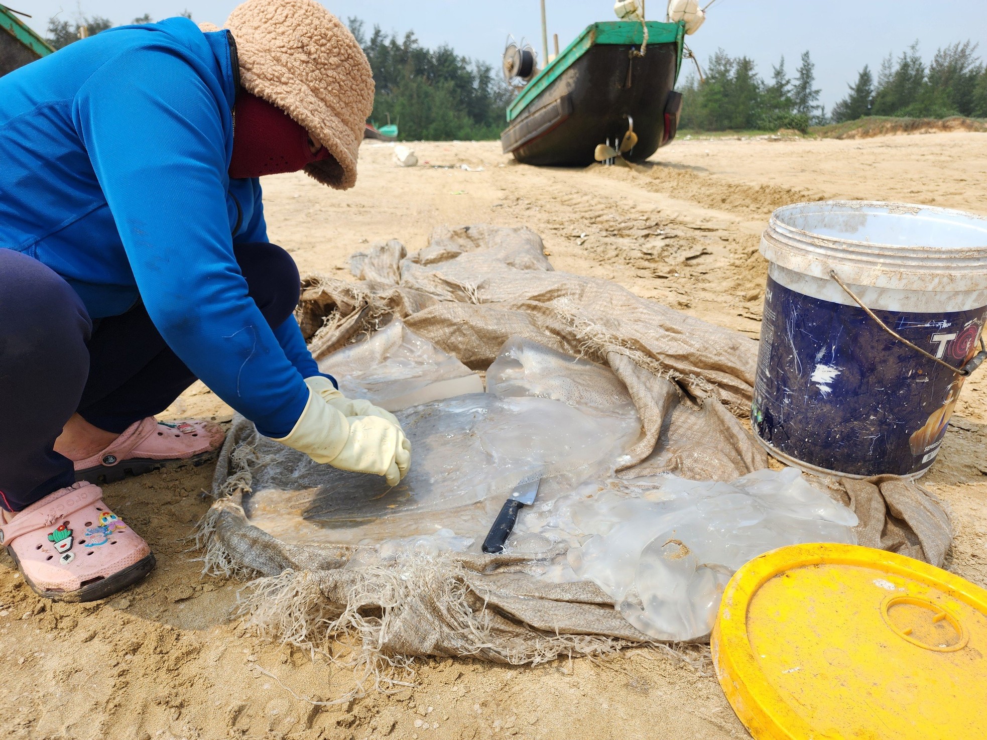 Ha Tinh fishermen harvest jellyfish during the jellyfish harvest season, earning millions every day photo 10
