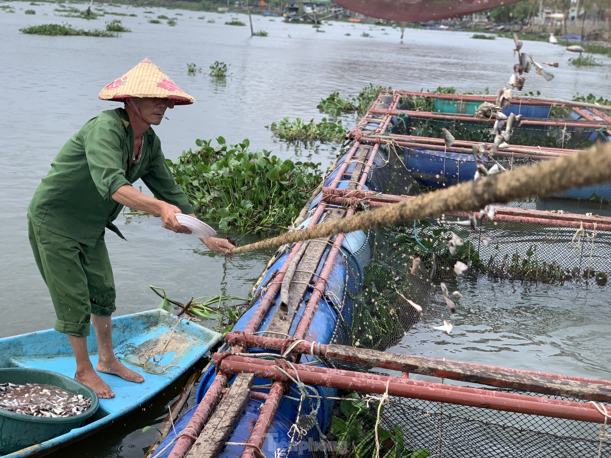 Người nuôi cá ở Hà Tĩnh hối hả gia cố lồng bè phòng chống mưa bão ảnh 6