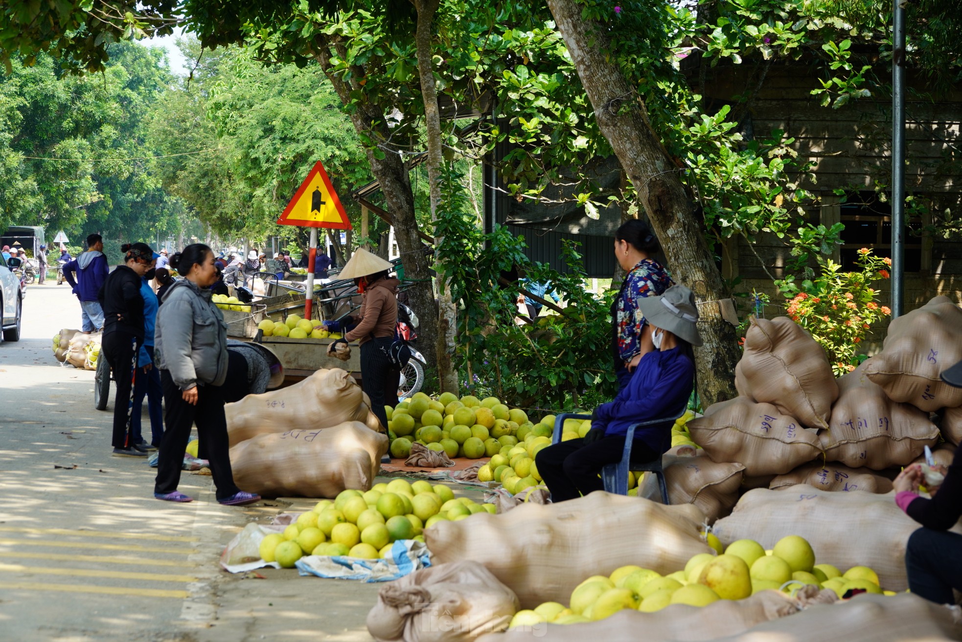 Độc đáo phiên chợ 'đệ nhất danh quả' nức tiếng Hà Tĩnh ảnh 3