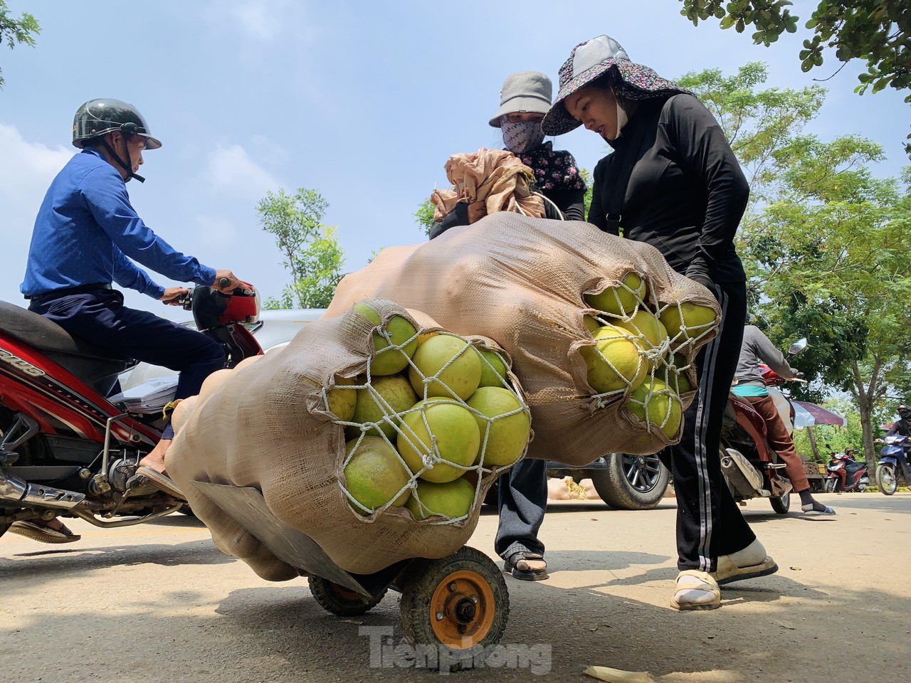 Độc đáo phiên chợ 'đệ nhất danh quả' nức tiếng Hà Tĩnh ảnh 6