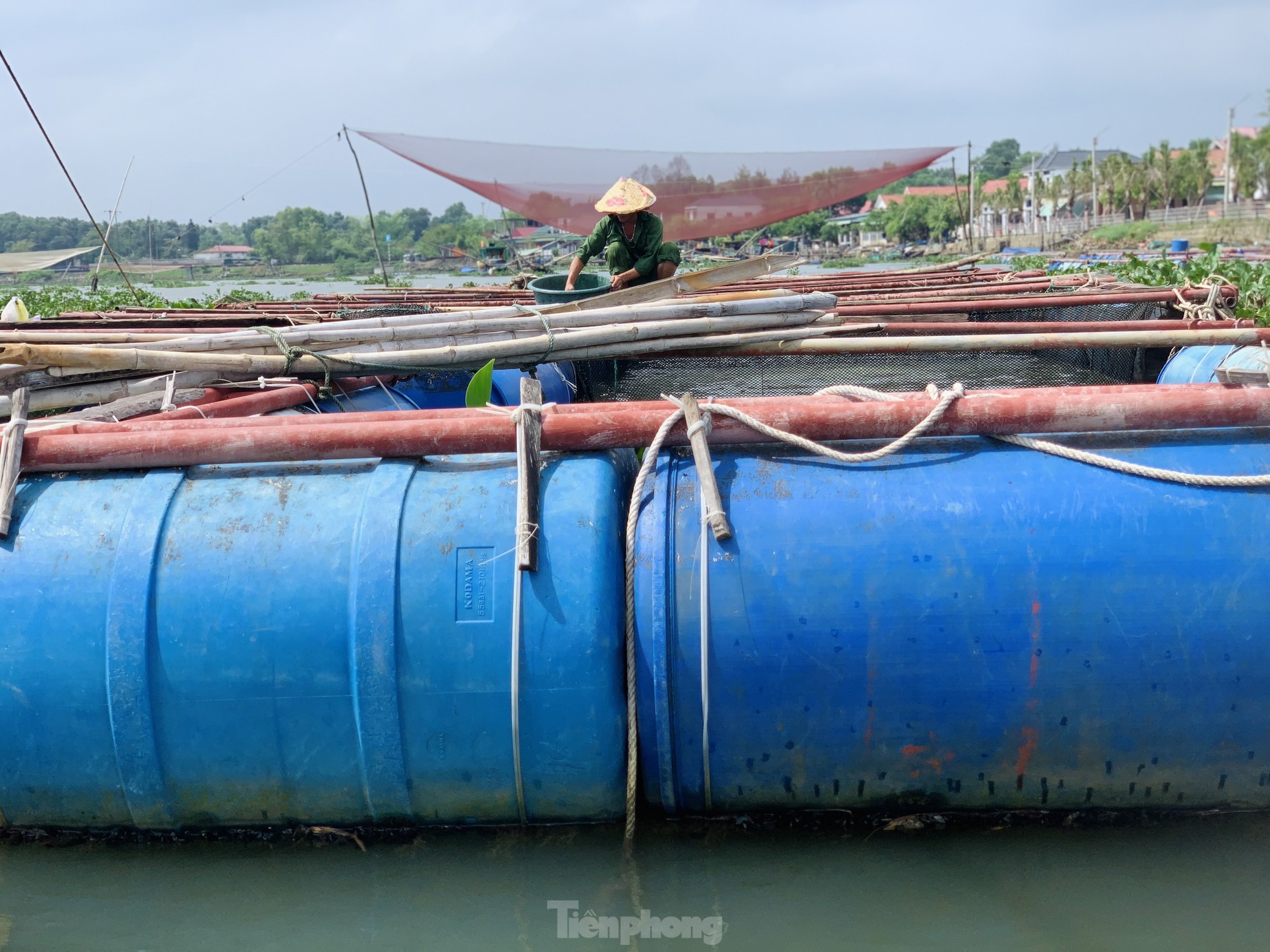 Người nuôi cá ở Hà Tĩnh hối hả gia cố lồng bè phòng chống mưa bão ảnh 5