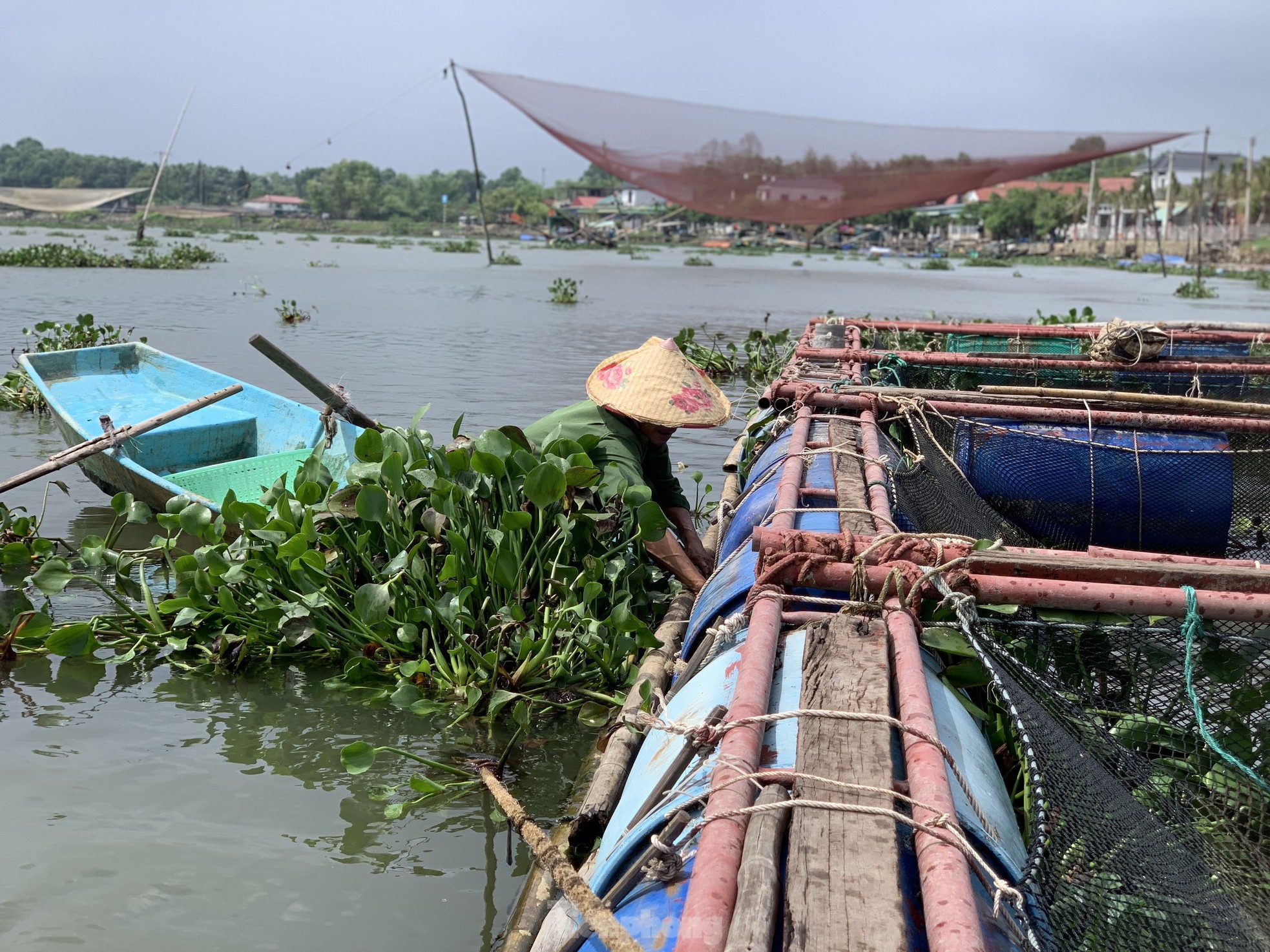 Người nuôi cá ở Hà Tĩnh hối hả gia cố lồng bè phòng chống mưa bão ảnh 1