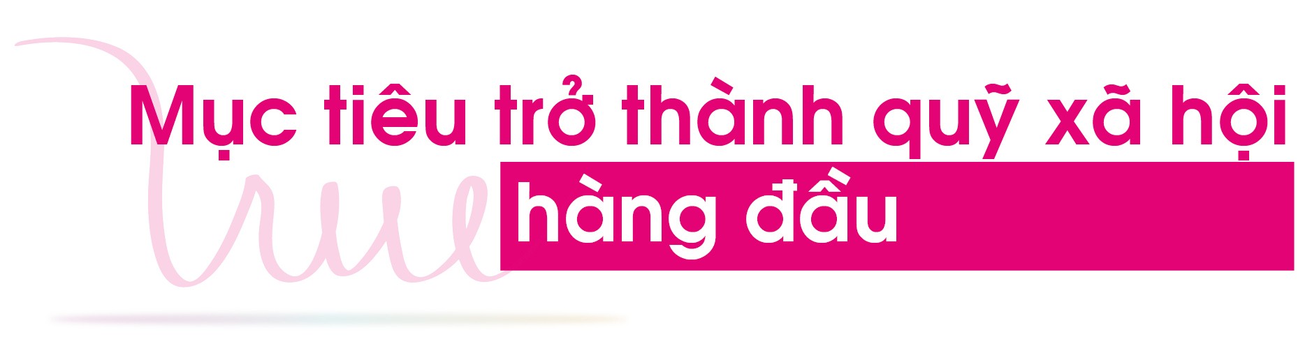 Quỹ Vì Tầm Vóc Việt: Hành trình 10 năm thấu hiểu, yêu thương và hành động kiến tạo sự thay đổi ảnh 28