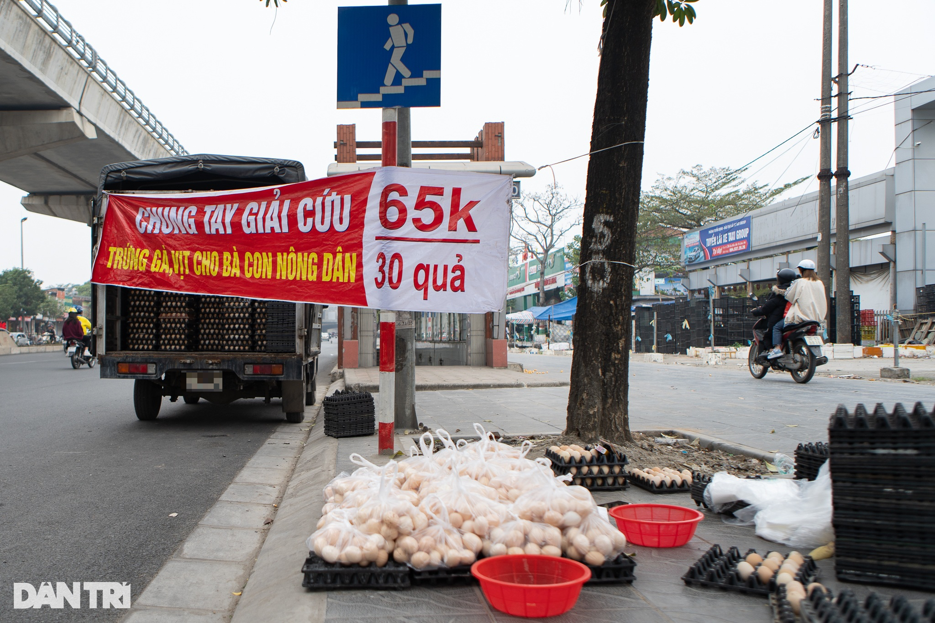 Sự thật chiêu 'giải cứu' trứng gà giá siêu rẻ bán tràn vỉa hè Hà Nội ảnh 1