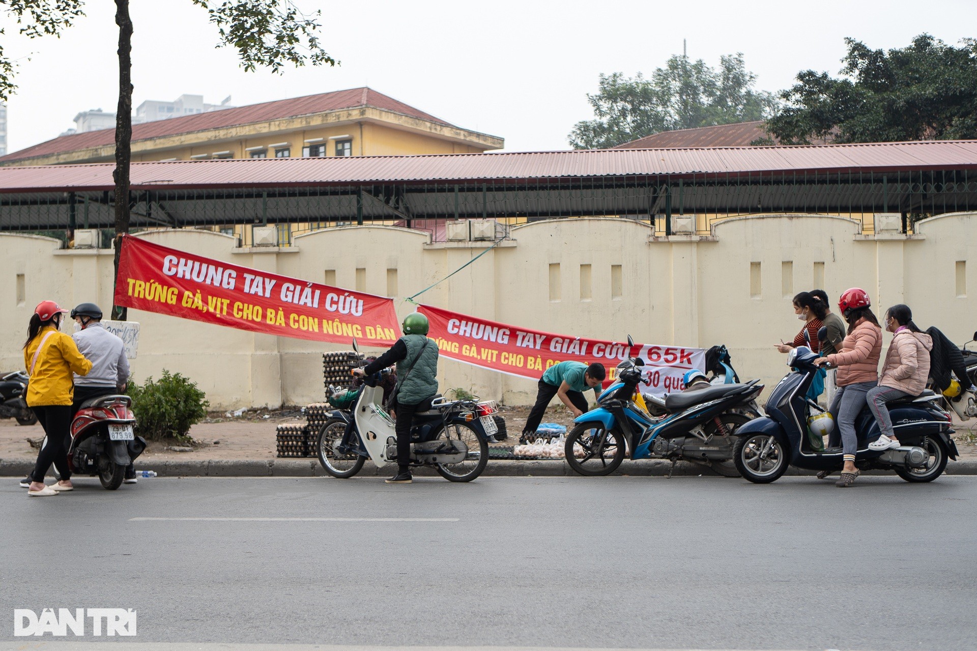 Sự thật chiêu 'giải cứu' trứng gà giá siêu rẻ bán tràn vỉa hè Hà Nội ảnh 8