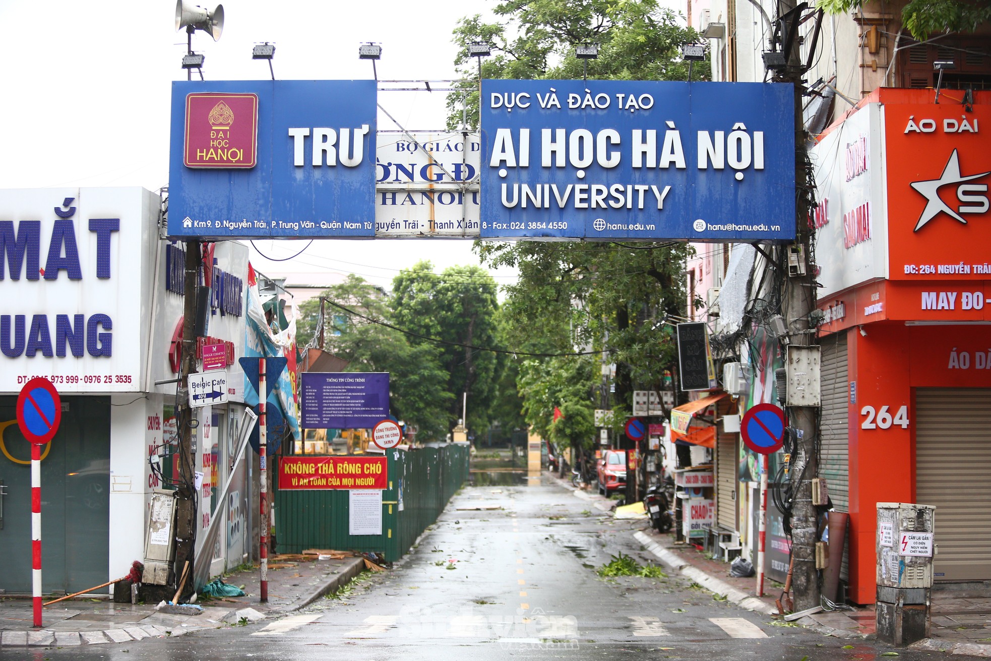 Nhiều trường đại học tan hoang, cổ thụ đổ rạp, phá hủy nhiều tài sản ảnh 11