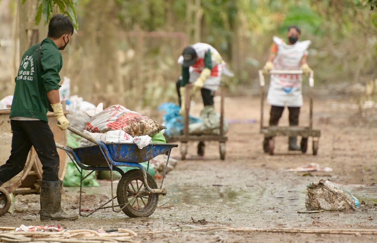 Gần 80.000 con gà chết trong nước lũ, lão nông mất trắng hơn chục tỷ đồng ảnh 9