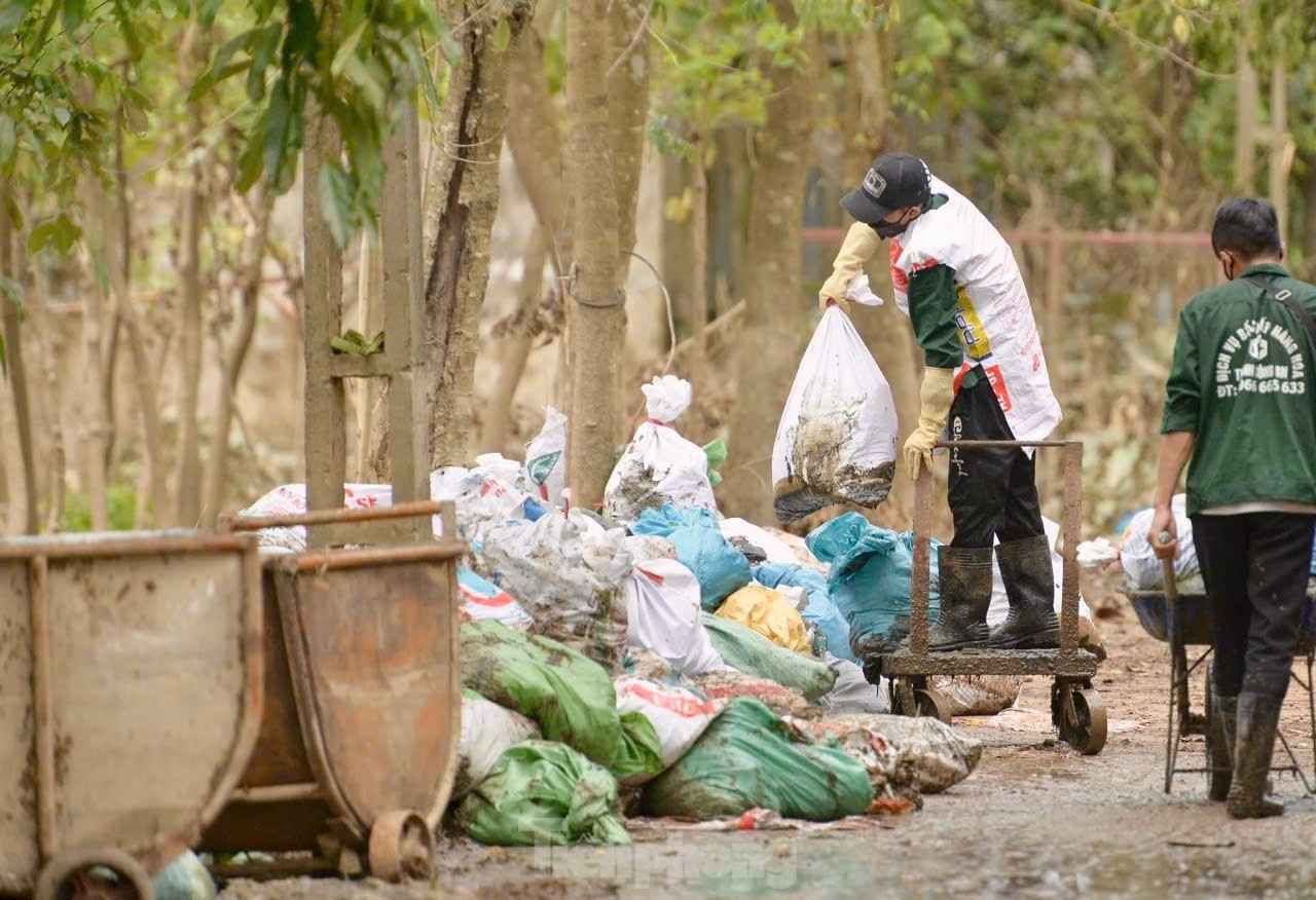 Gần 80.000 con gà chết trong nước lũ, lão nông mất trắng hơn chục tỷ đồng ảnh 8