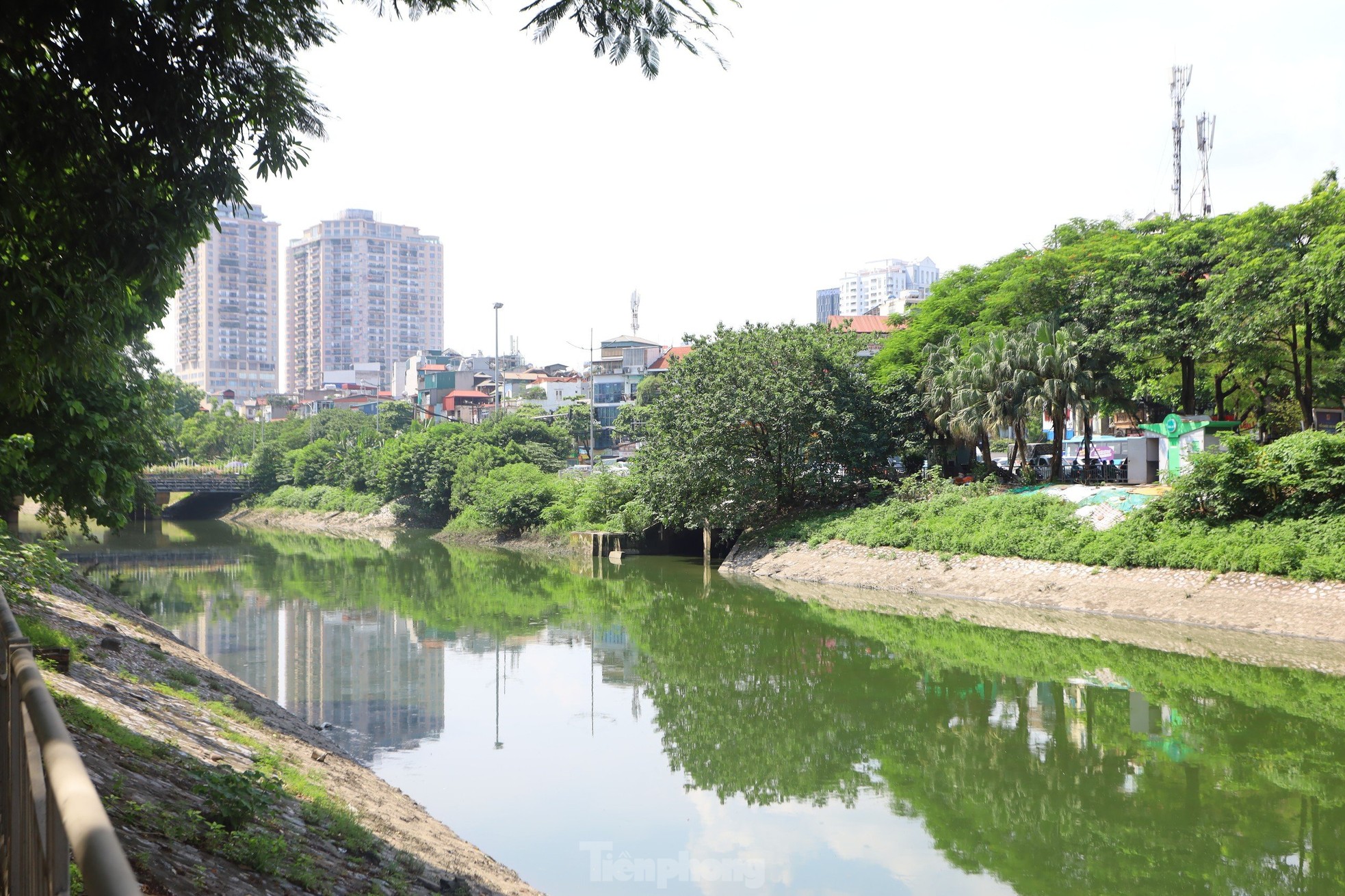 Nước chuyển màu xanh như nước Hồ Gươm, sông Tô Lịch bỗng 'nên thơ, trữ tình' ảnh 2