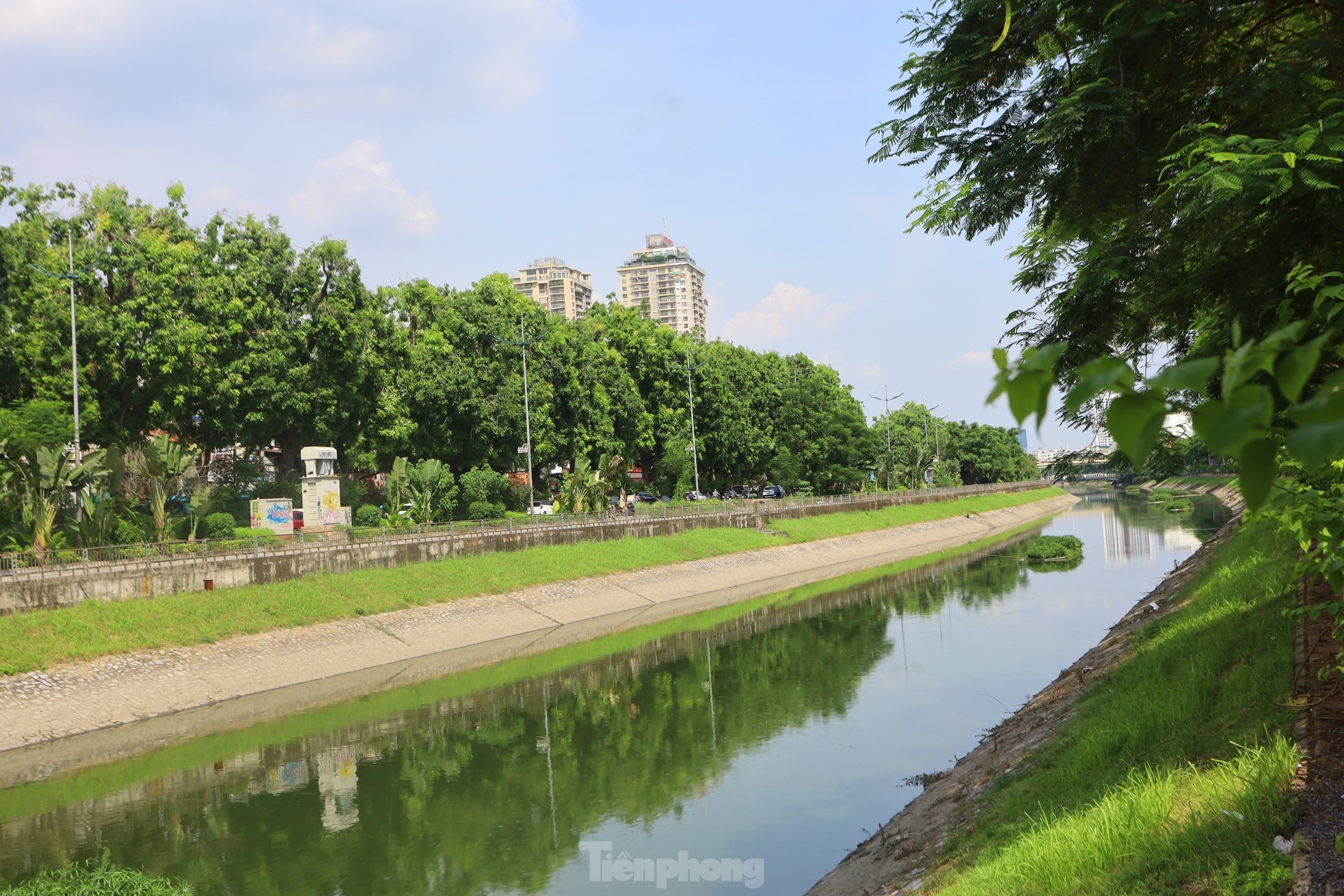 Nước chuyển màu xanh như nước Hồ Gươm, sông Tô Lịch bỗng 'nên thơ, trữ tình' ảnh 8