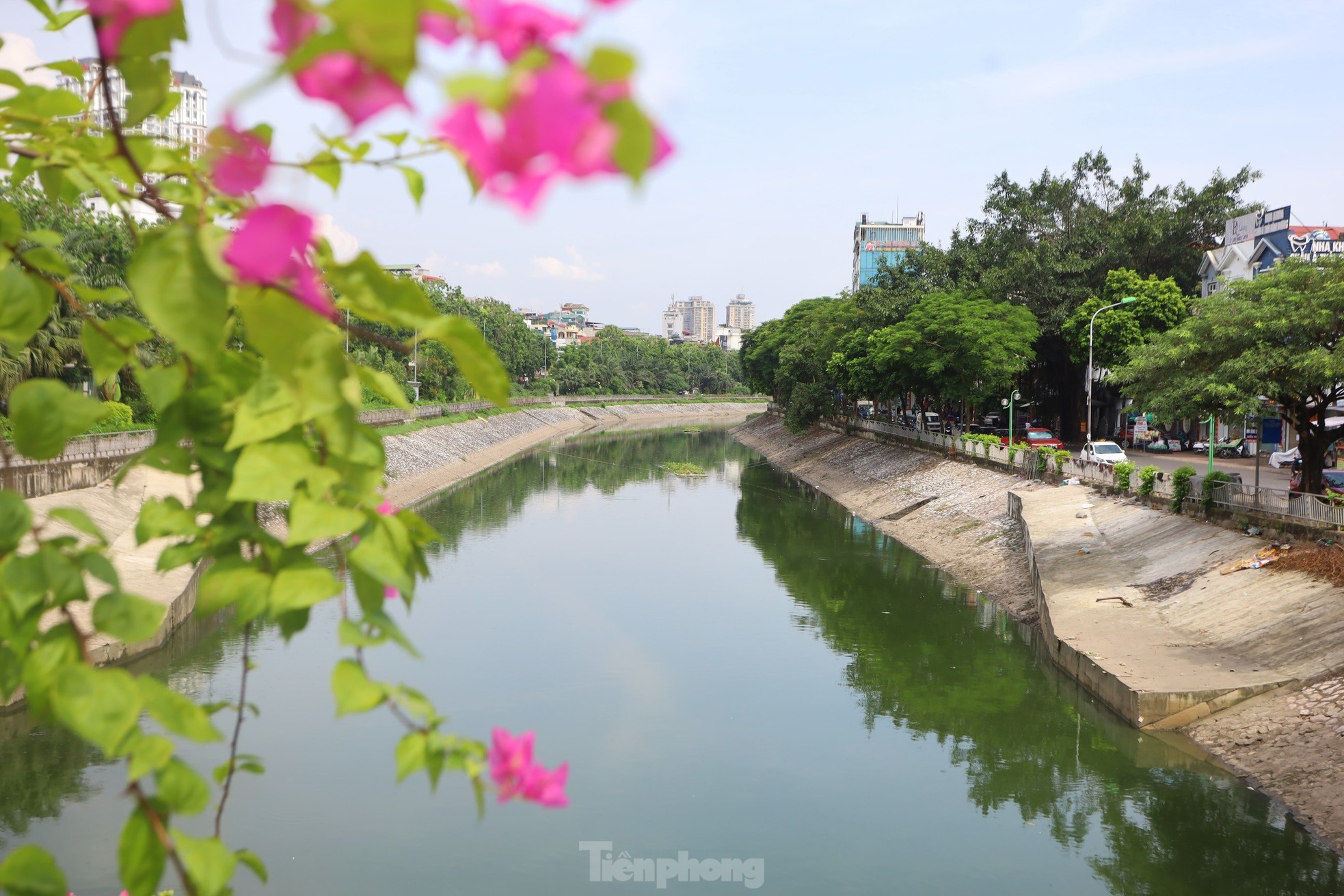 Nước chuyển màu xanh như nước Hồ Gươm, sông Tô Lịch bỗng 'nên thơ, trữ tình' ảnh 10