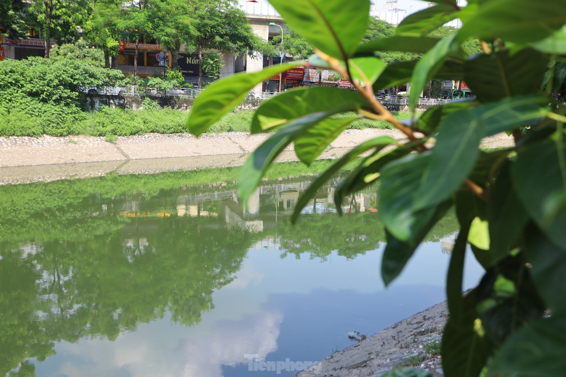 Nước chuyển màu xanh như nước Hồ Gươm, sông Tô Lịch bỗng 'nên thơ, trữ tình' ảnh 5